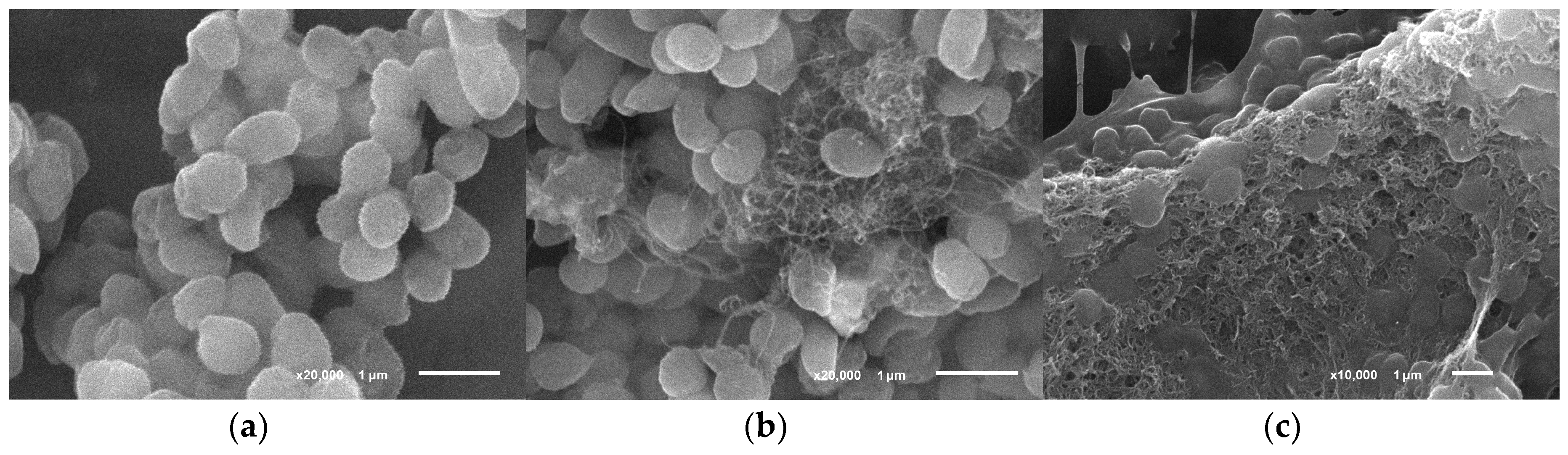 Biosensors 09 00137 g002