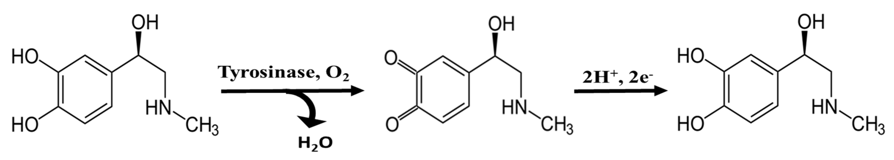 Biosensors 09 00139 i001