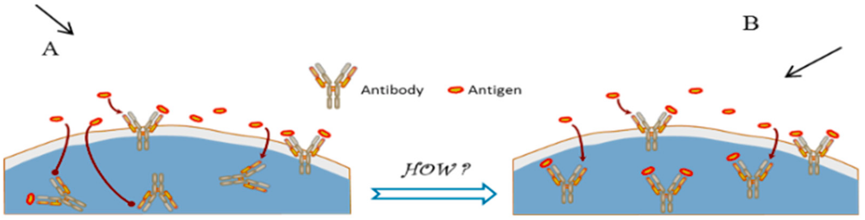 Biosensors 09 00142 g002