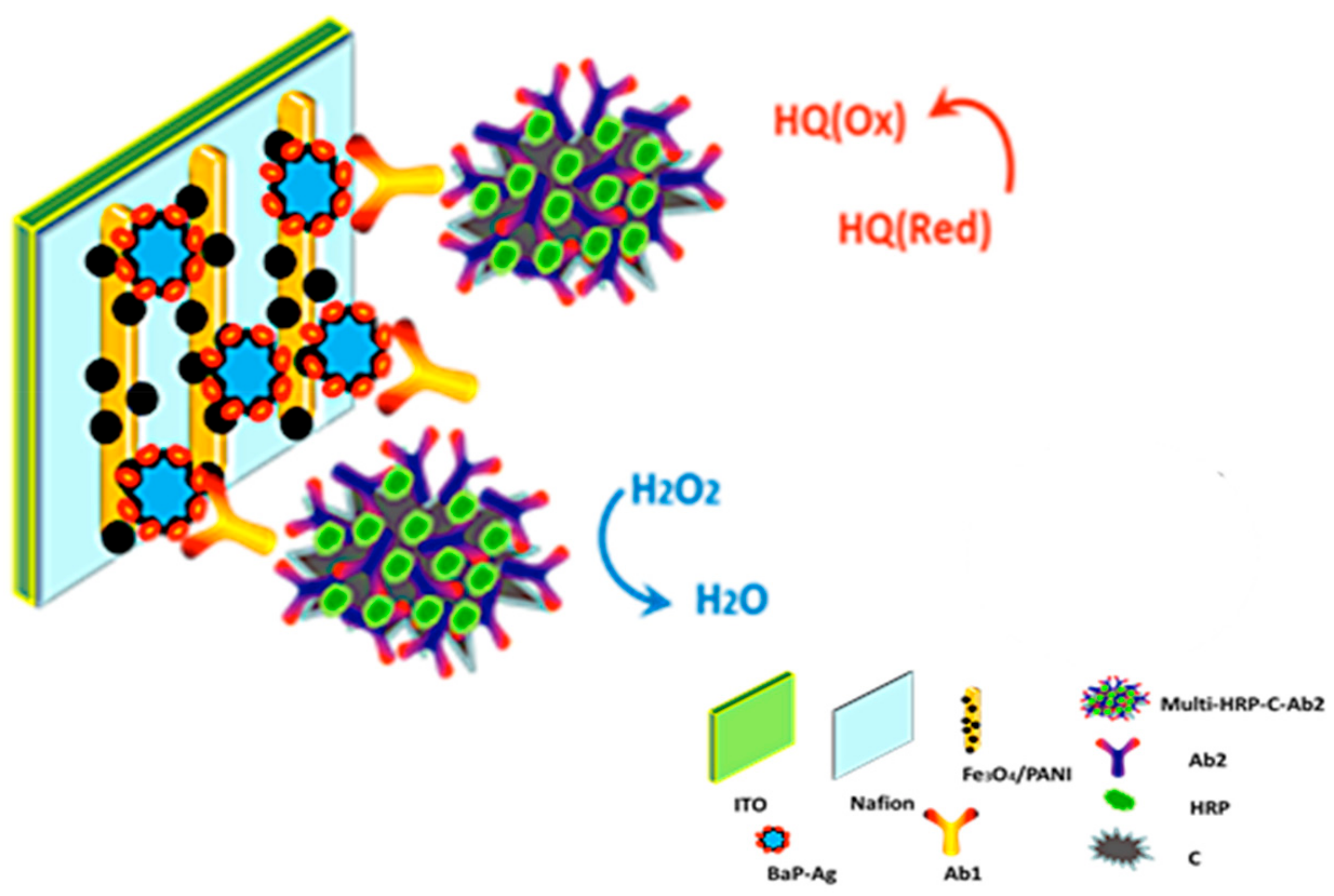 Biosensors 09 00142 g005