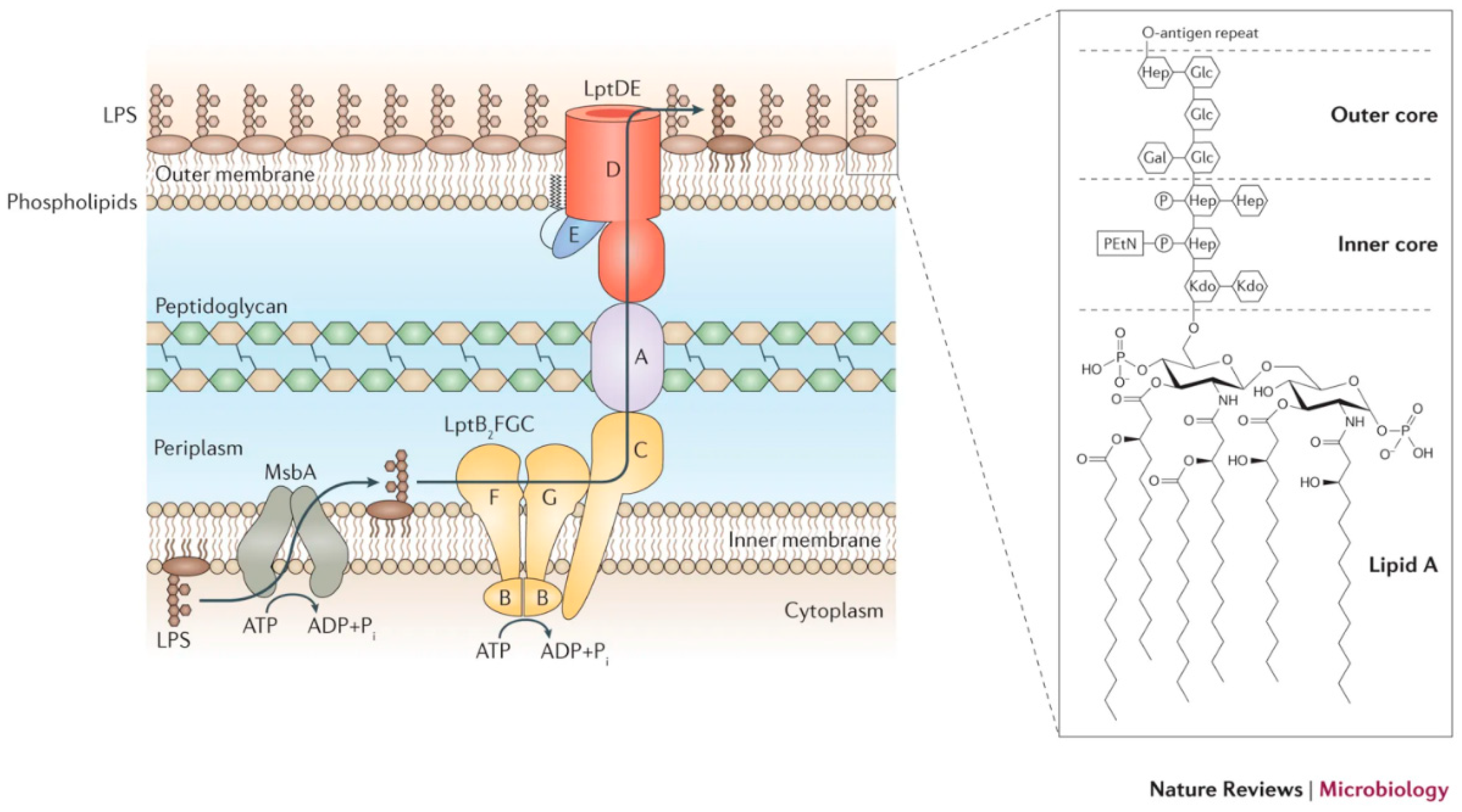 Biosensors 10 00002 g001