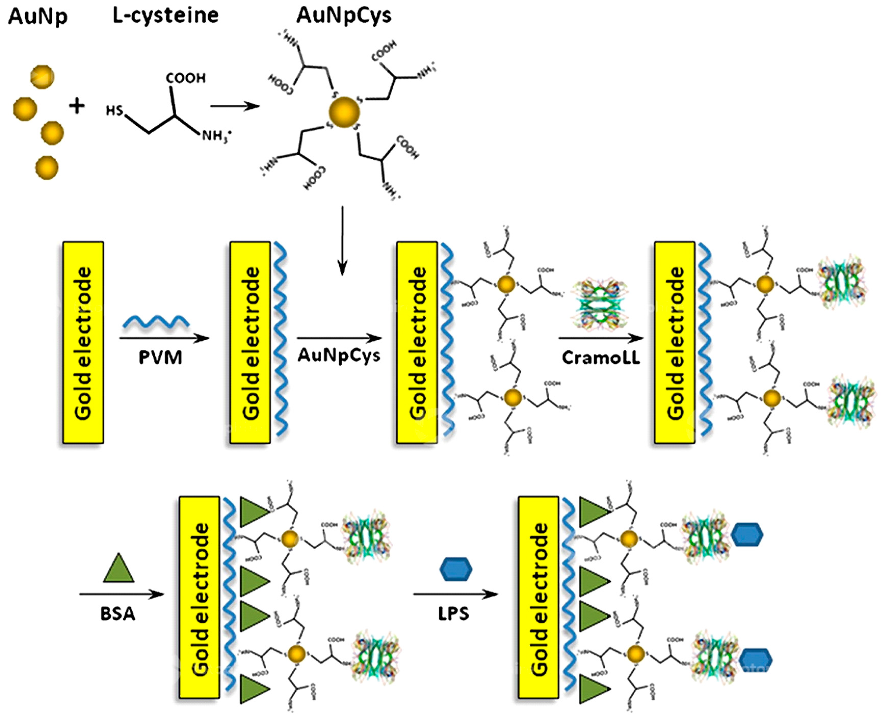 Biosensors 10 00002 g004