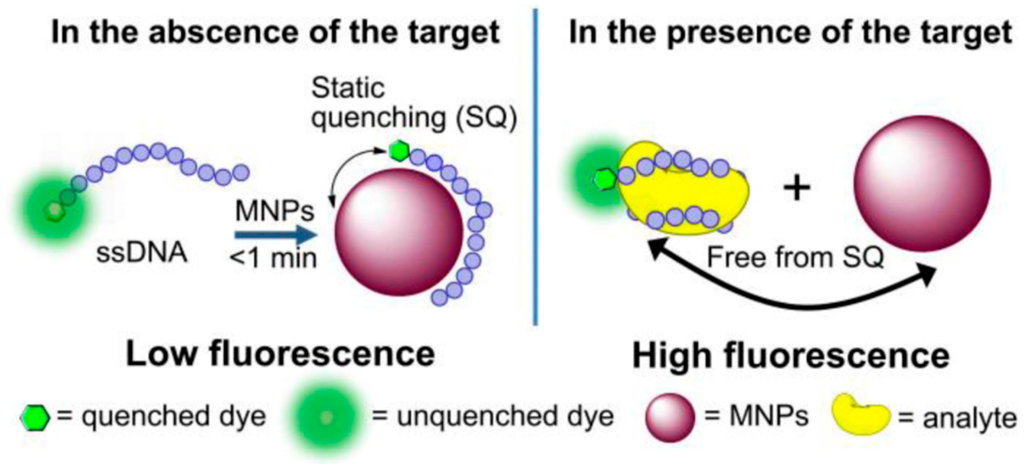 Biosensors 10 00002 g005