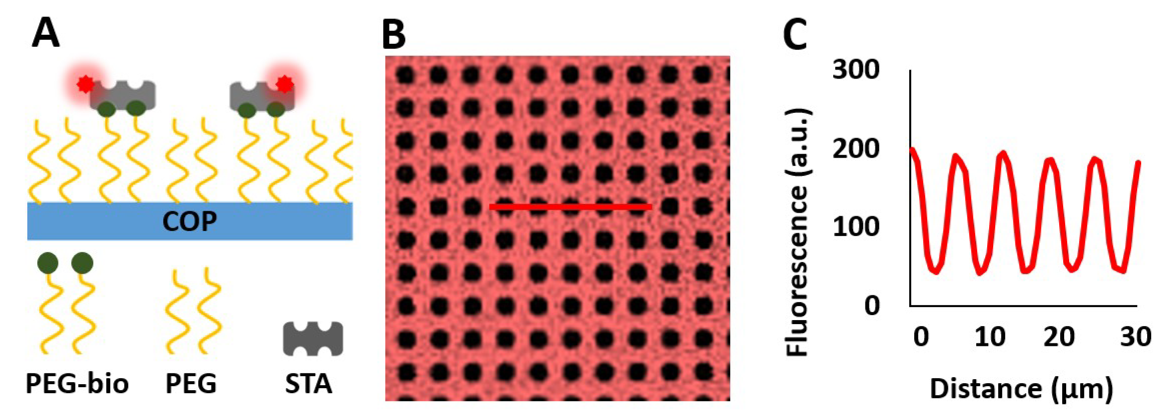 Biosensors 10 00003 g001