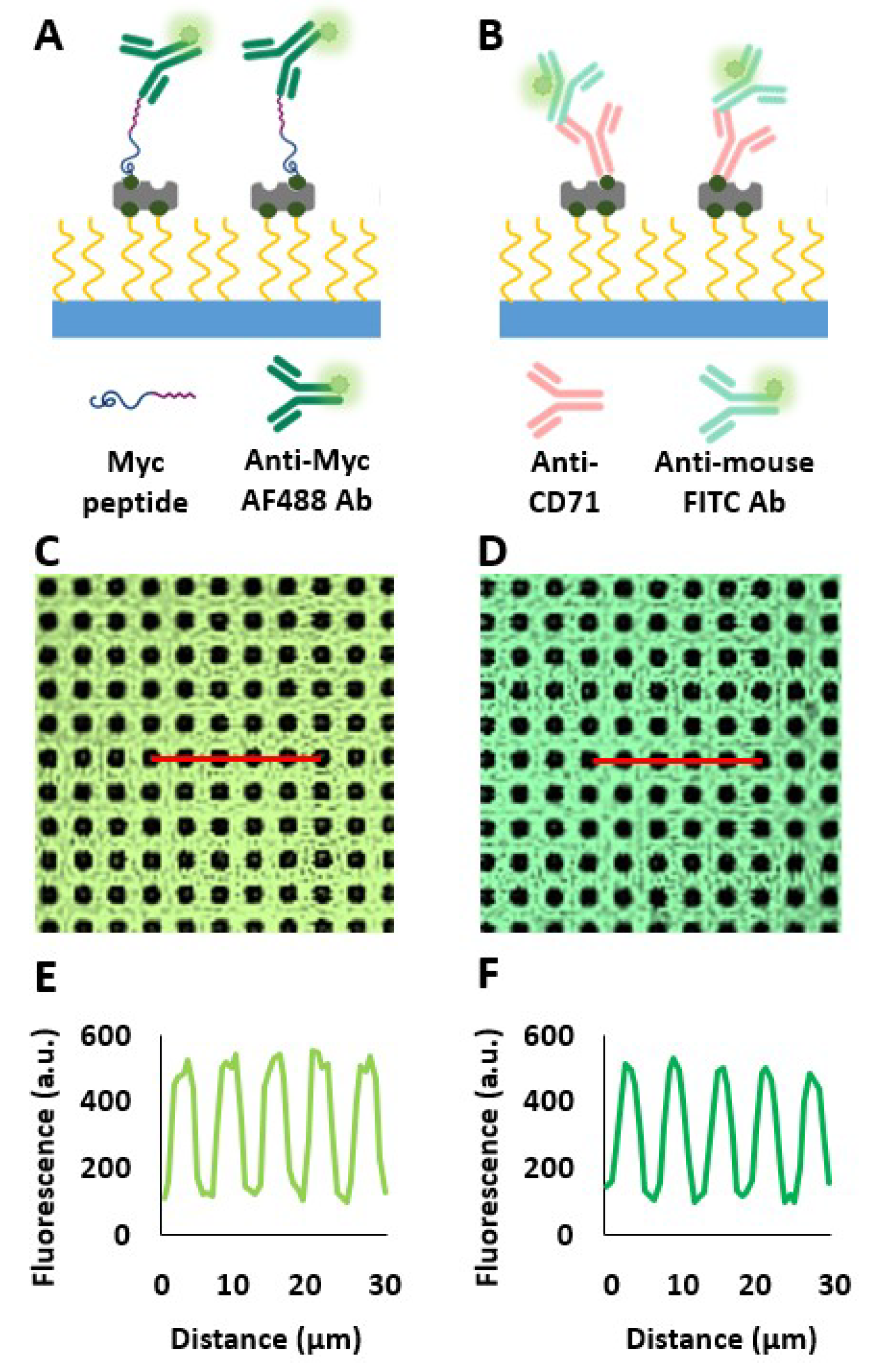 Biosensors 10 00003 g002