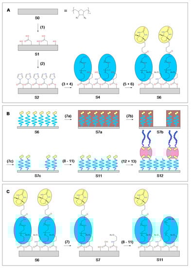 Biosensors 10 00003 g0a1 Biosensors 10 00003 g0a1