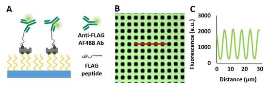 Biosensors 10 00003 g0a3 Biosensors 10 00003 g0a3