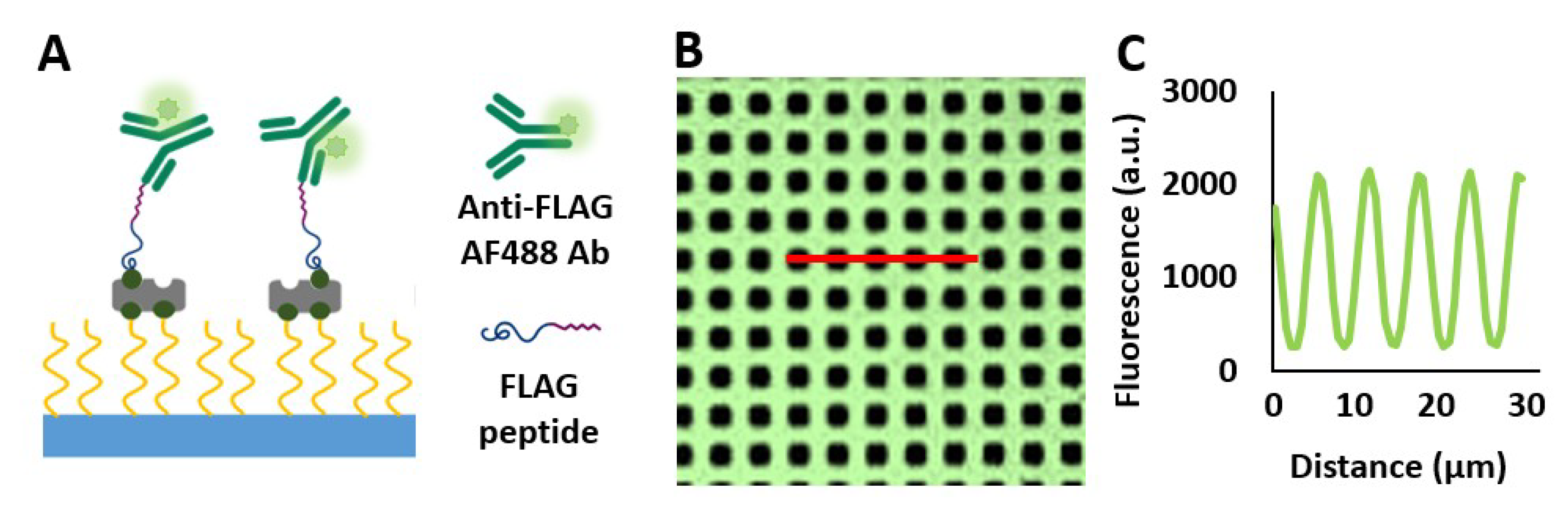 Biosensors 10 00003 g0a3