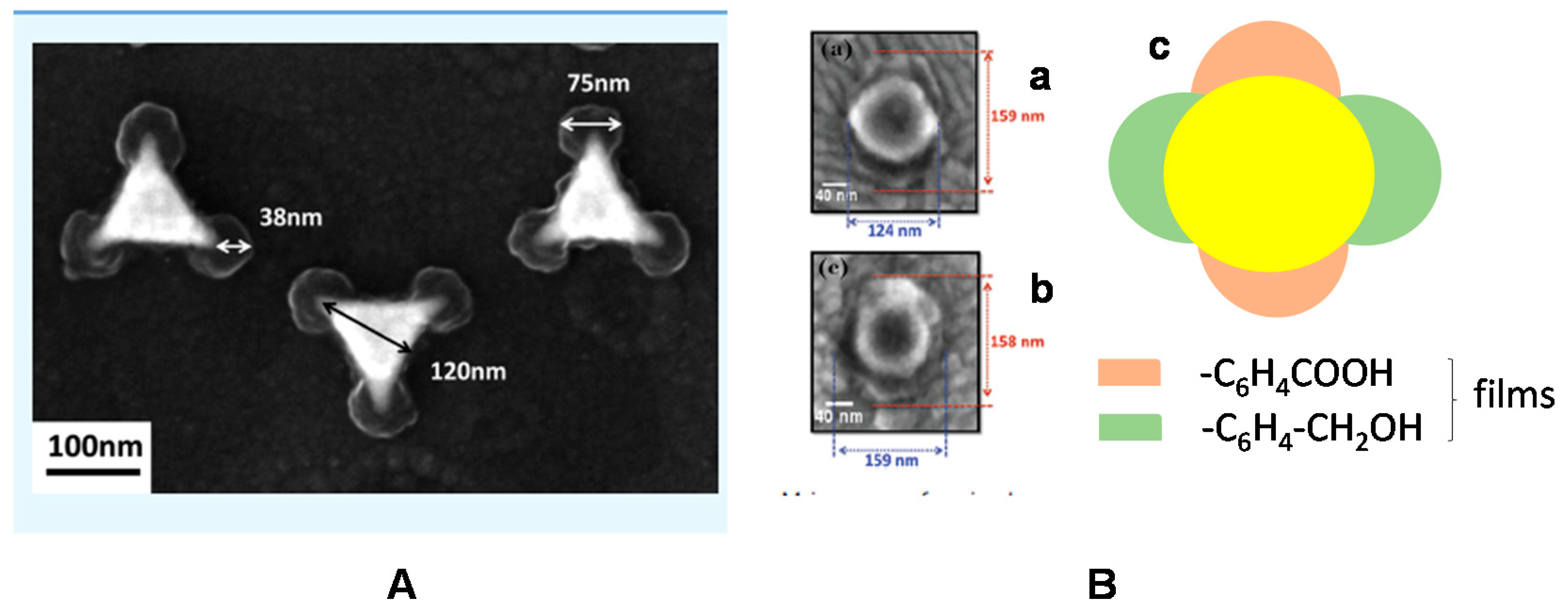 Biosensors 10 00004 g002