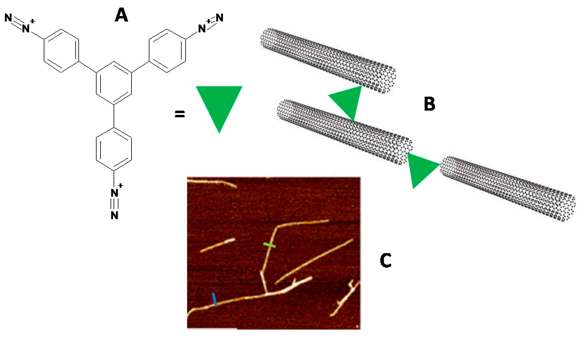 Biosensors 10 00004 g004