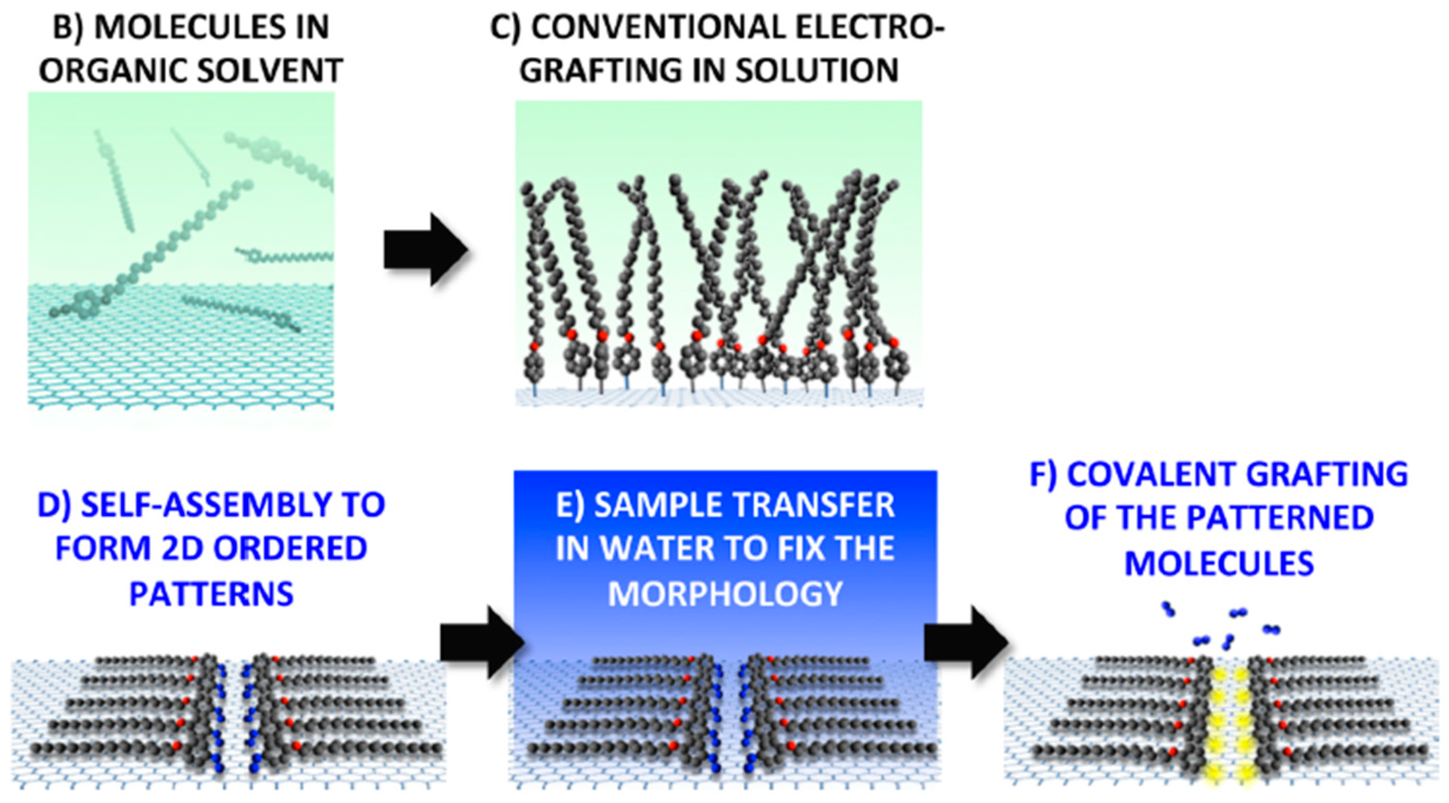 Biosensors 10 00004 g011