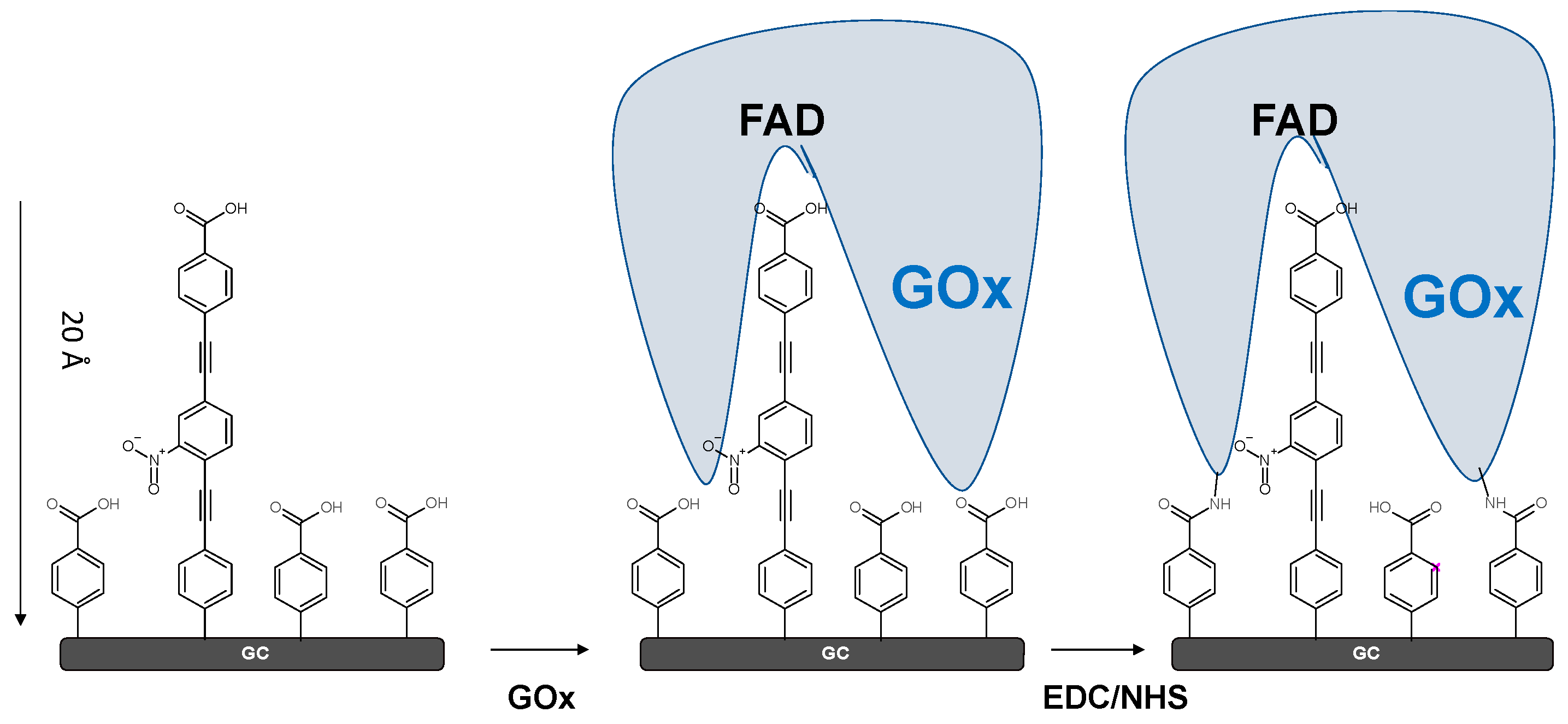 Biosensors 10 00004 g013