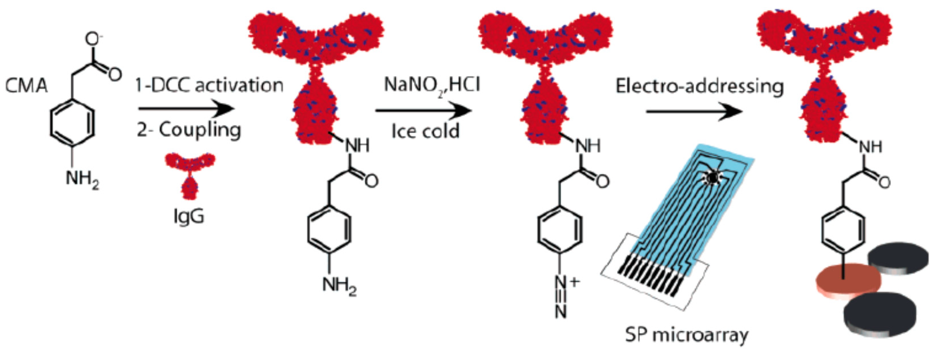 Biosensors 10 00004 g016
