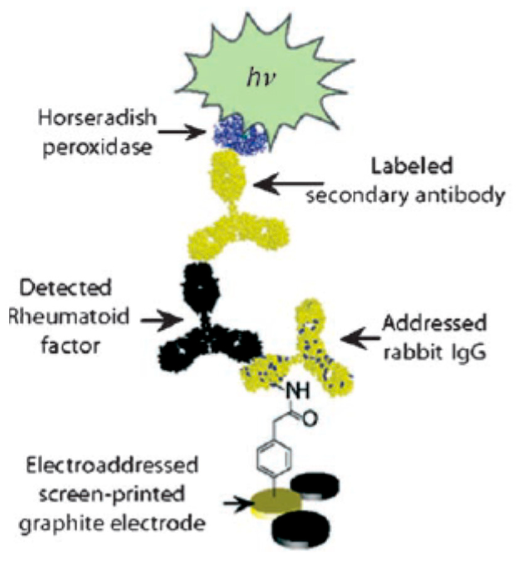Biosensors 10 00004 g017