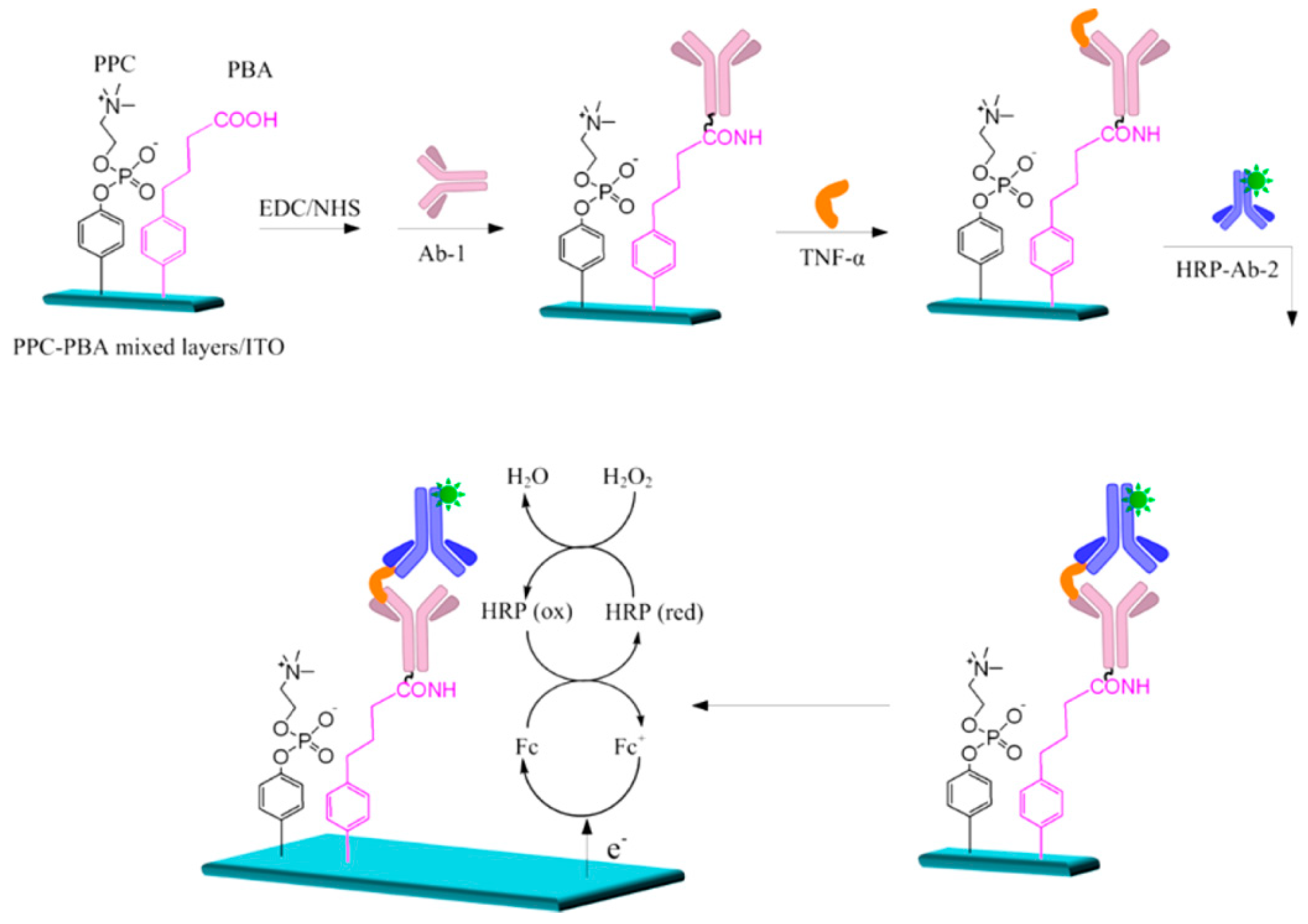 Biosensors 10 00004 g019