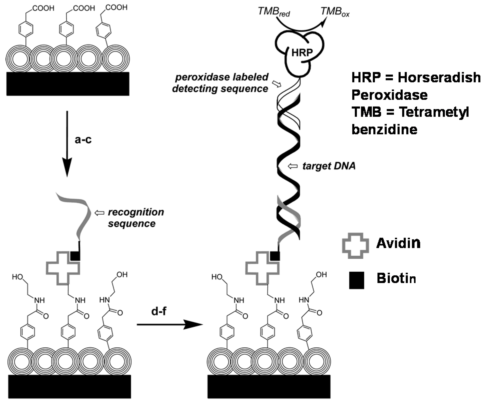 Biosensors 10 00004 g021