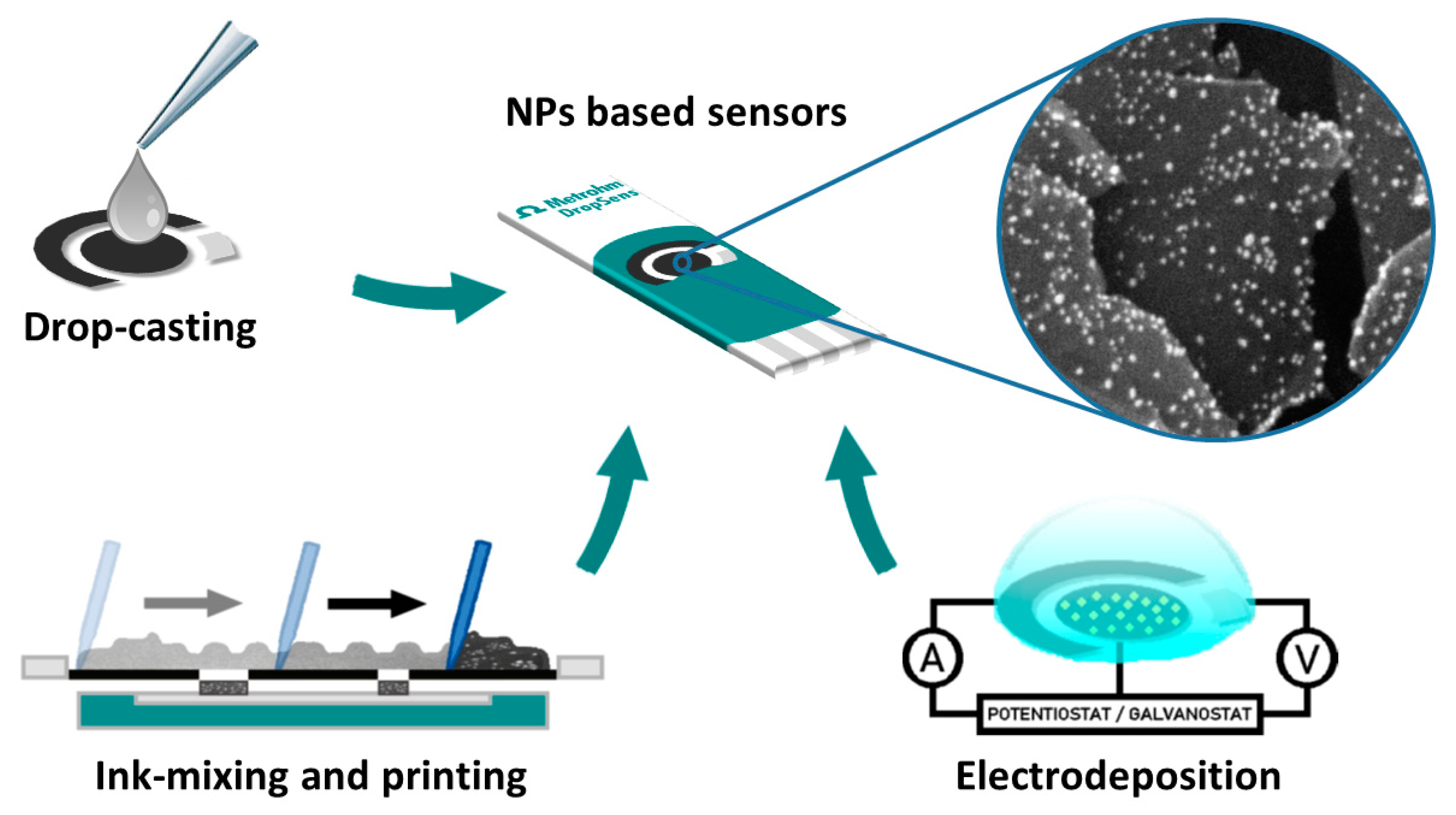 Biosensors 10 00009 g001 Biosensors 10 00009 g001