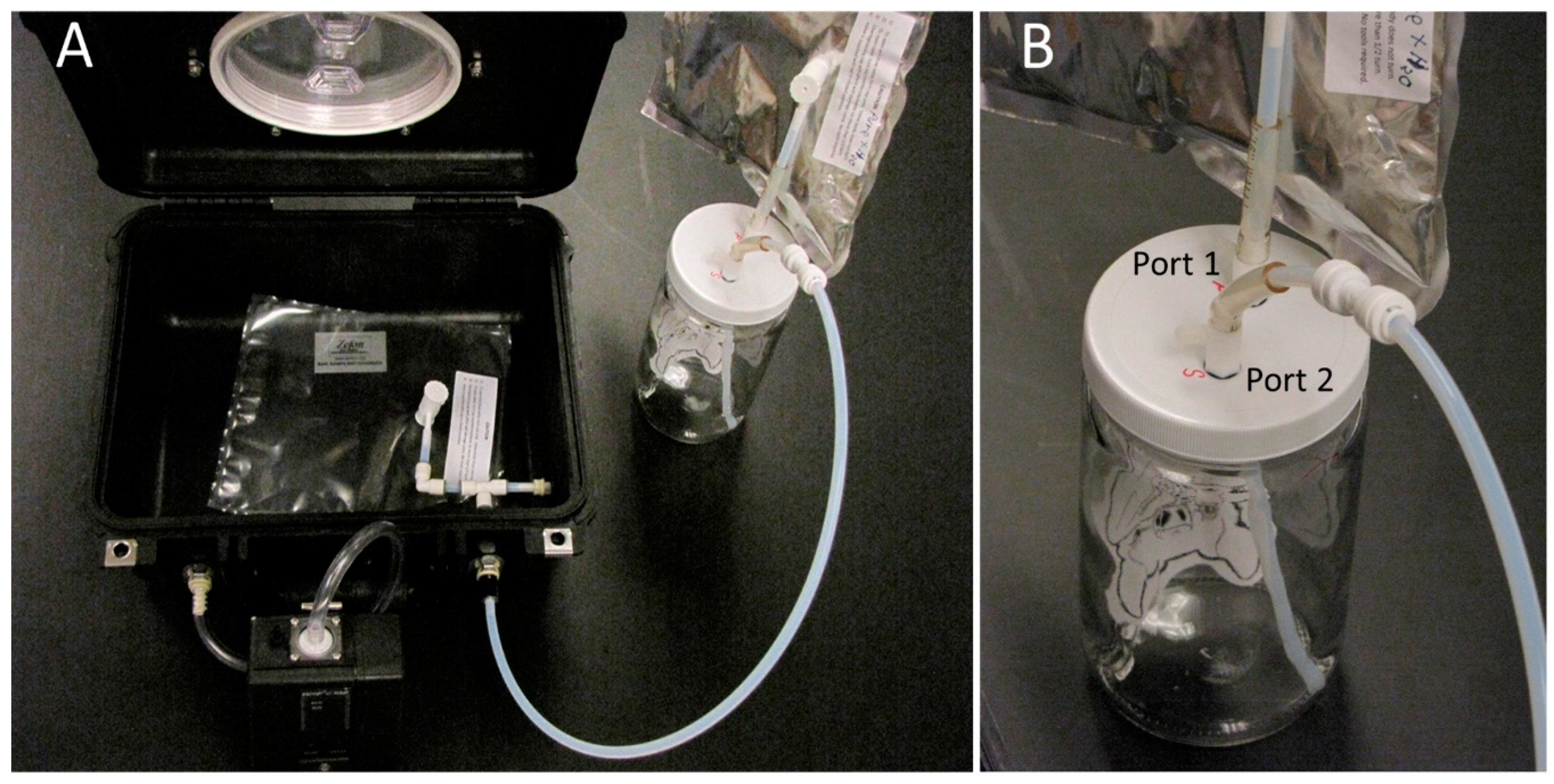 Biosensors 10 00012 g001 Biosensors 10 00012 g001