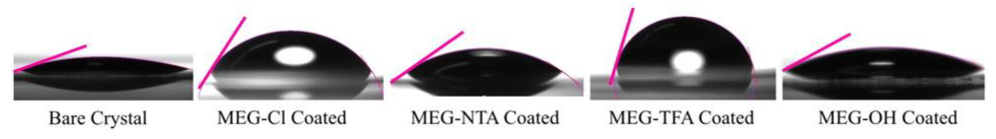 Biosensors 10 00020 g003