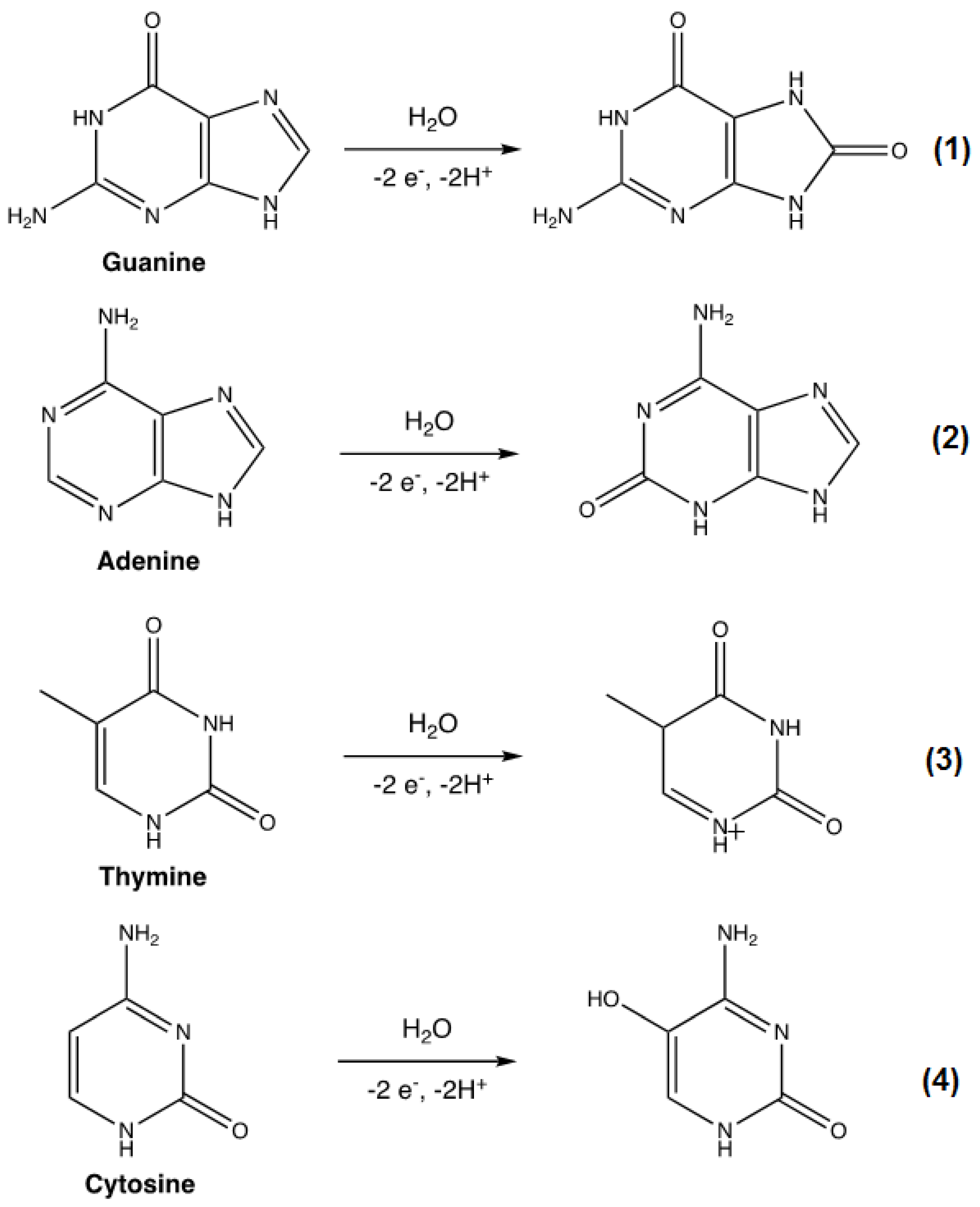 Biosensors 10 00030 sch002