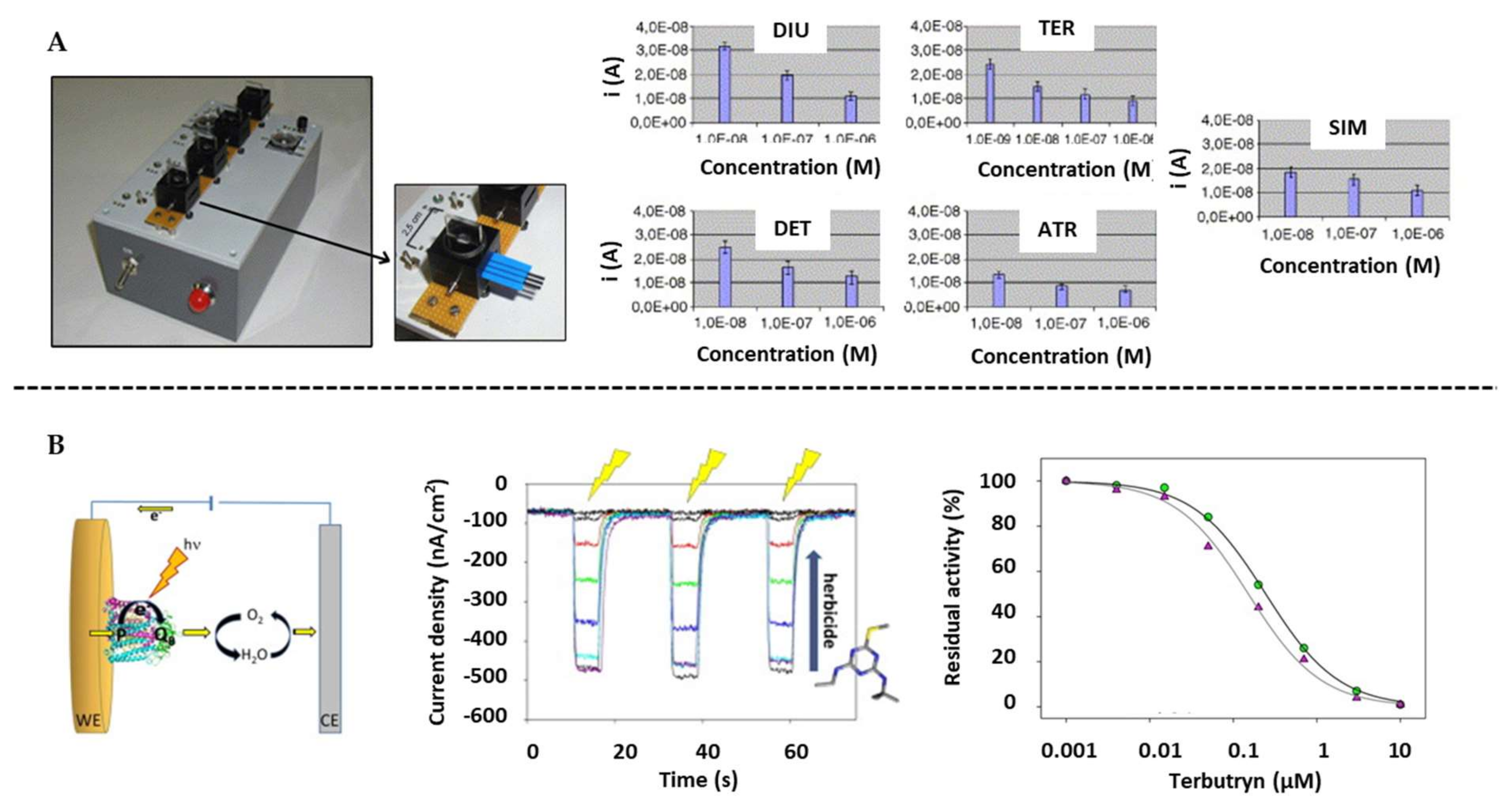 Biosensors 10 00032 g008 Biosensors 10 00032 g008