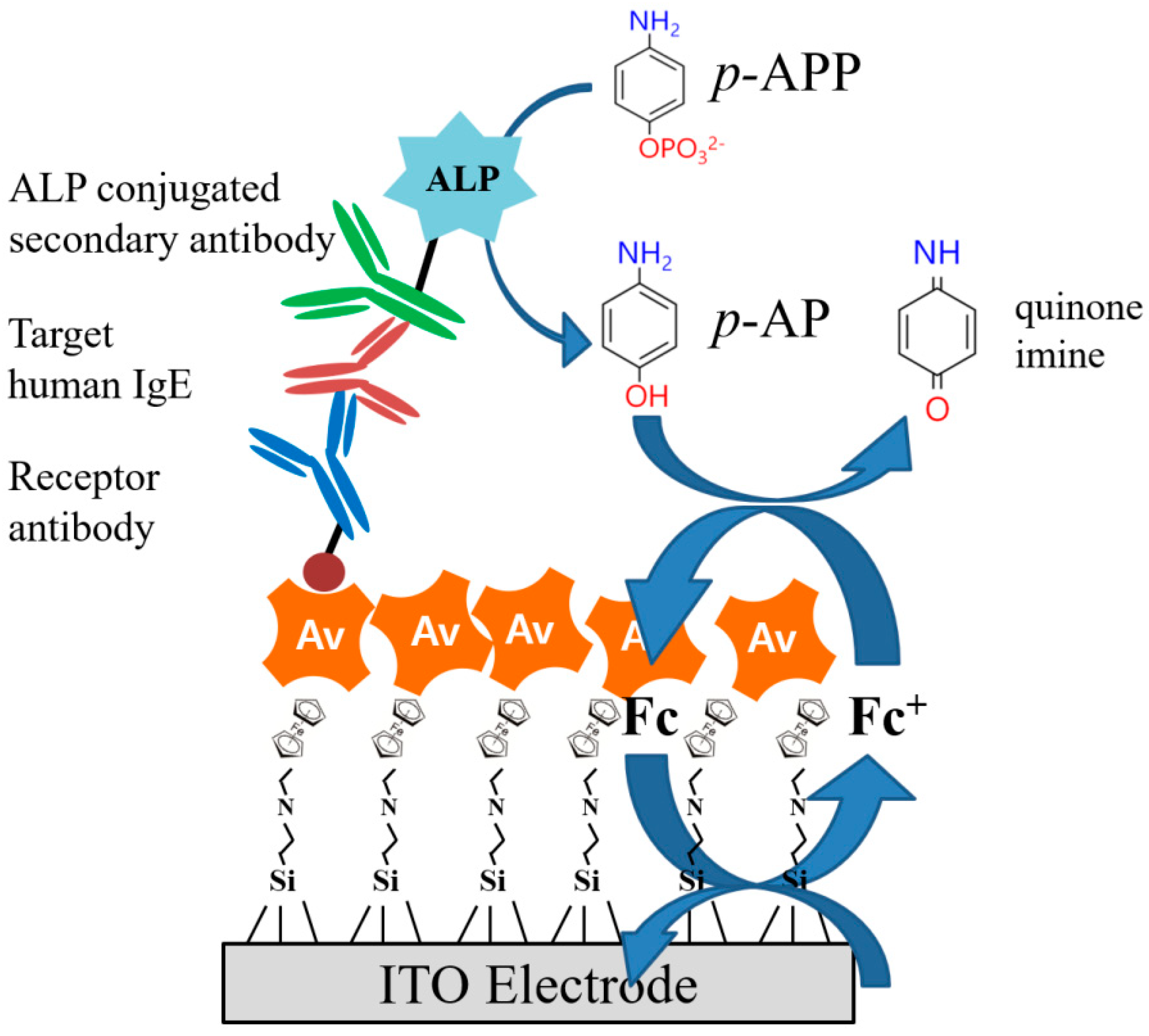Biosensors 10 00038 sch002