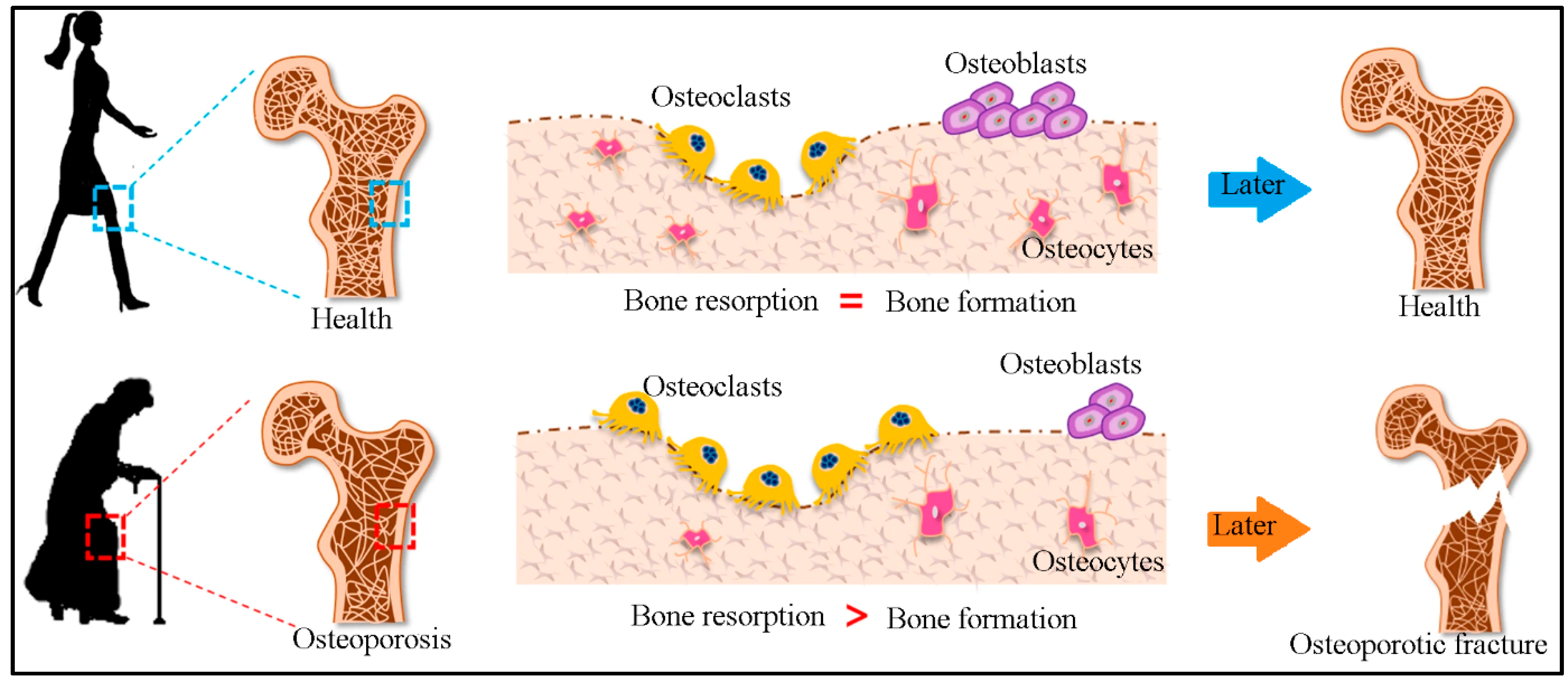 Biosensors 10 00042 g002
