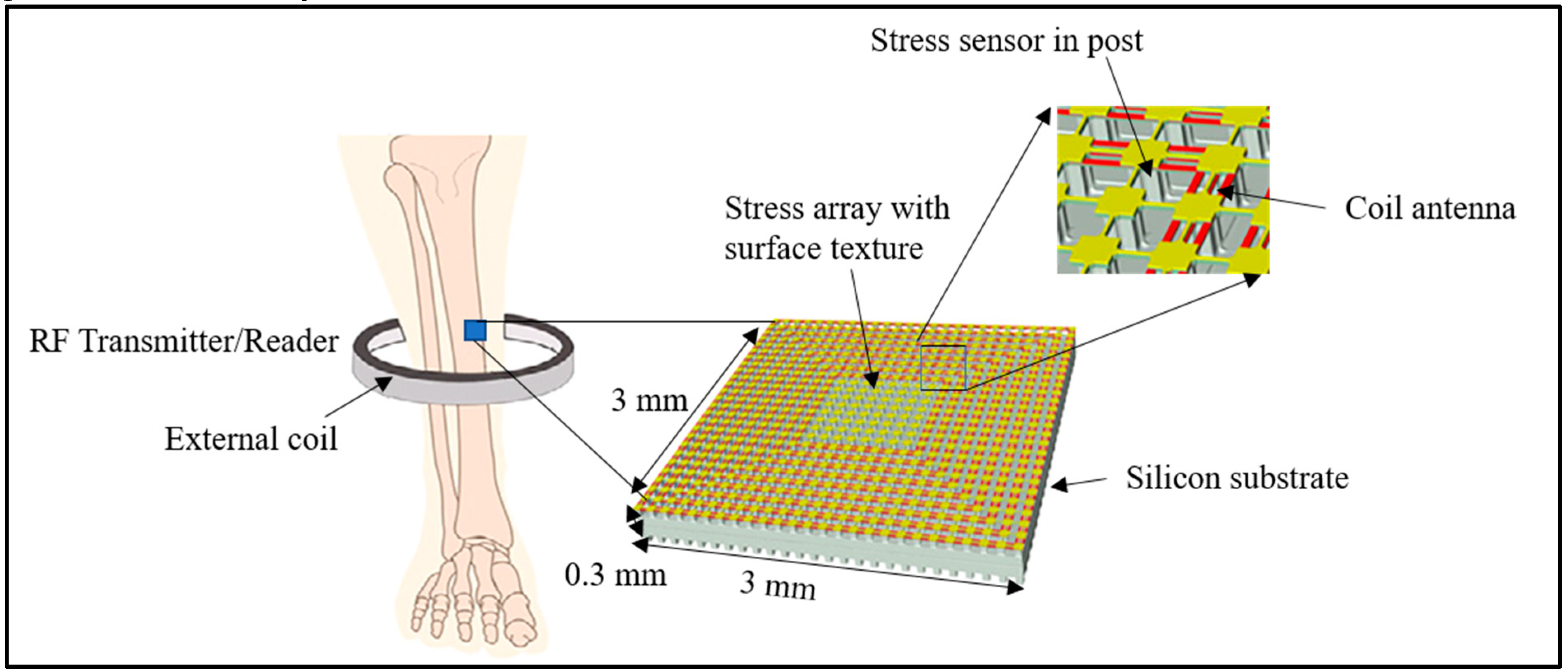 Biosensors 10 00042 g005