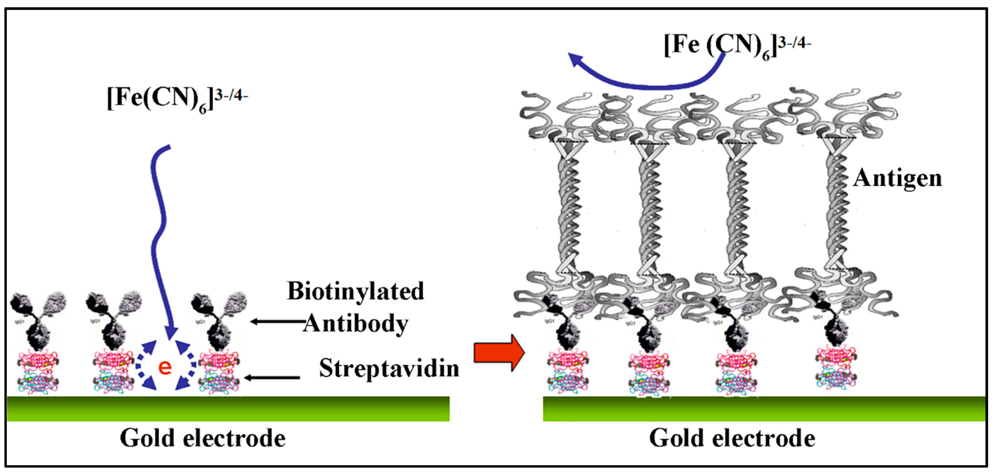 Biosensors 10 00042 g006