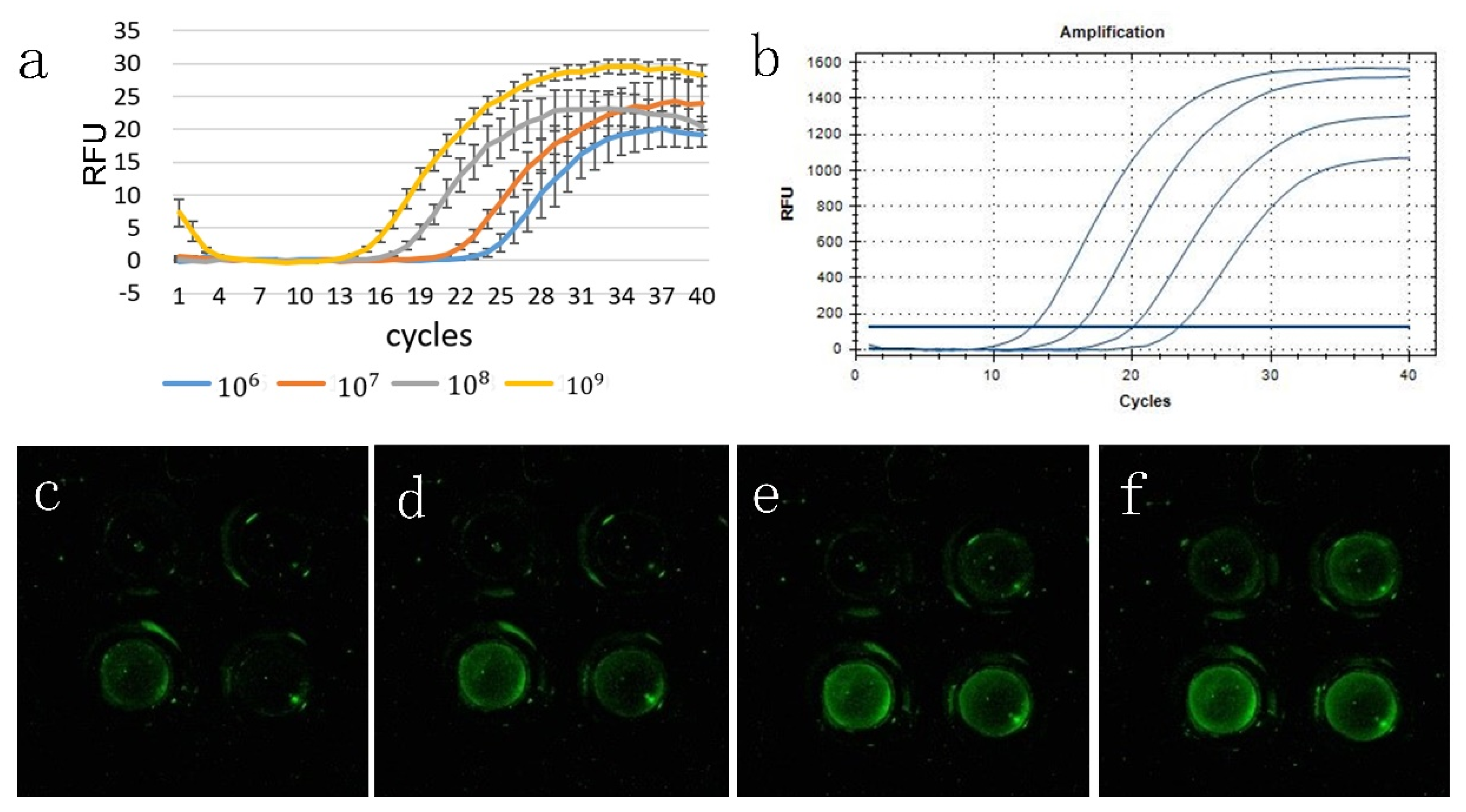 Biosensors 10 00049 g005 Biosensors 10 00049 g005
