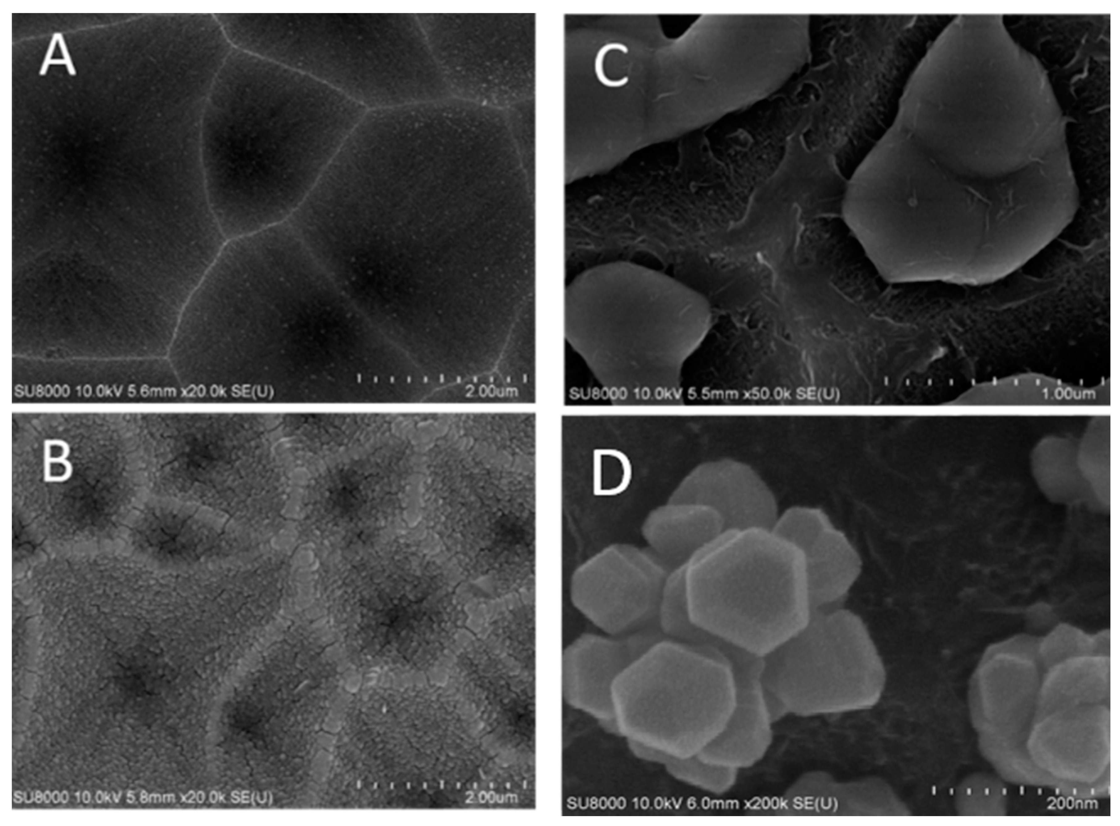 Biosensors 10 00053 g004