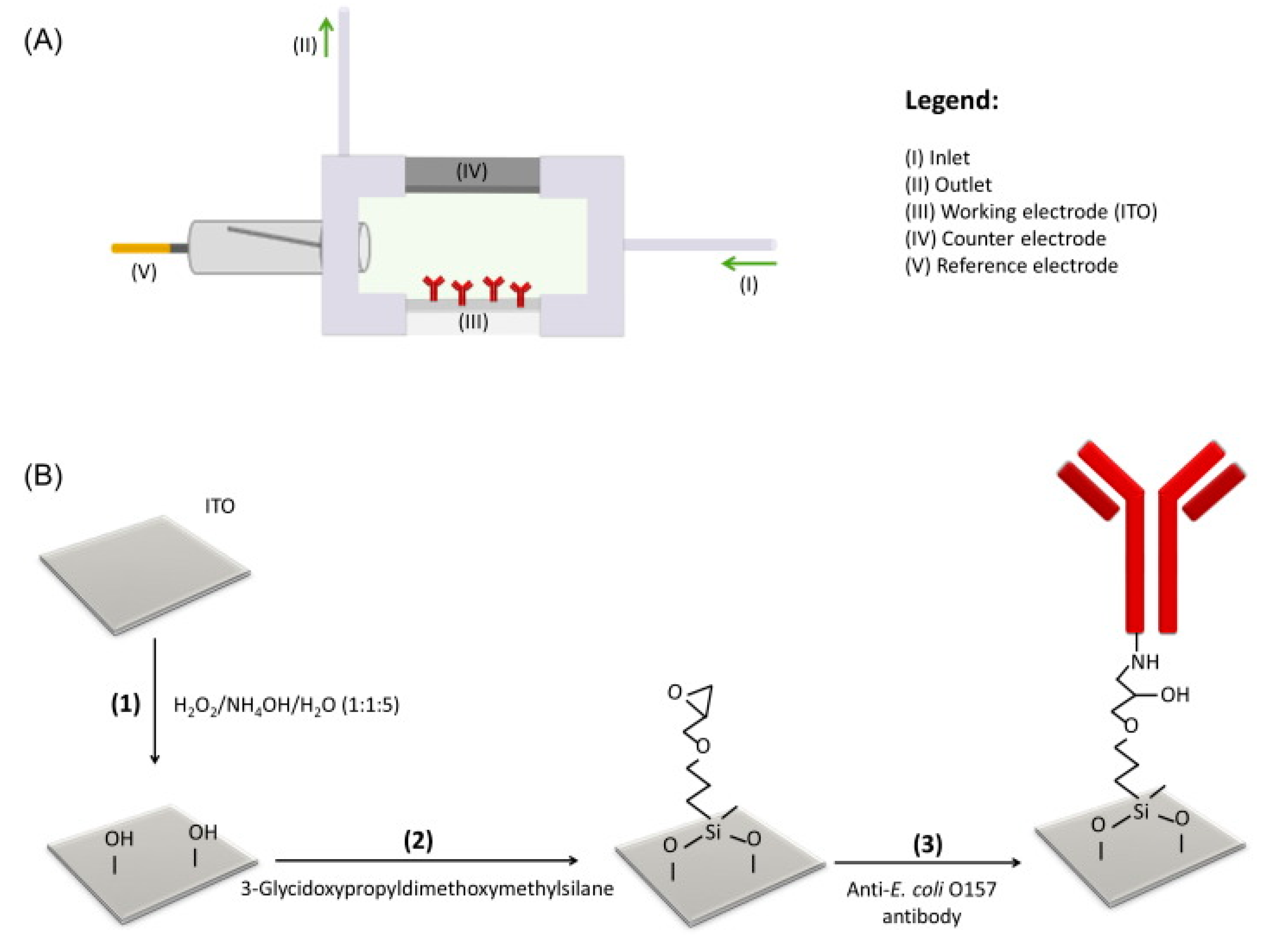 Biosensors 10 00054 g003 Biosensors 10 00054 g003