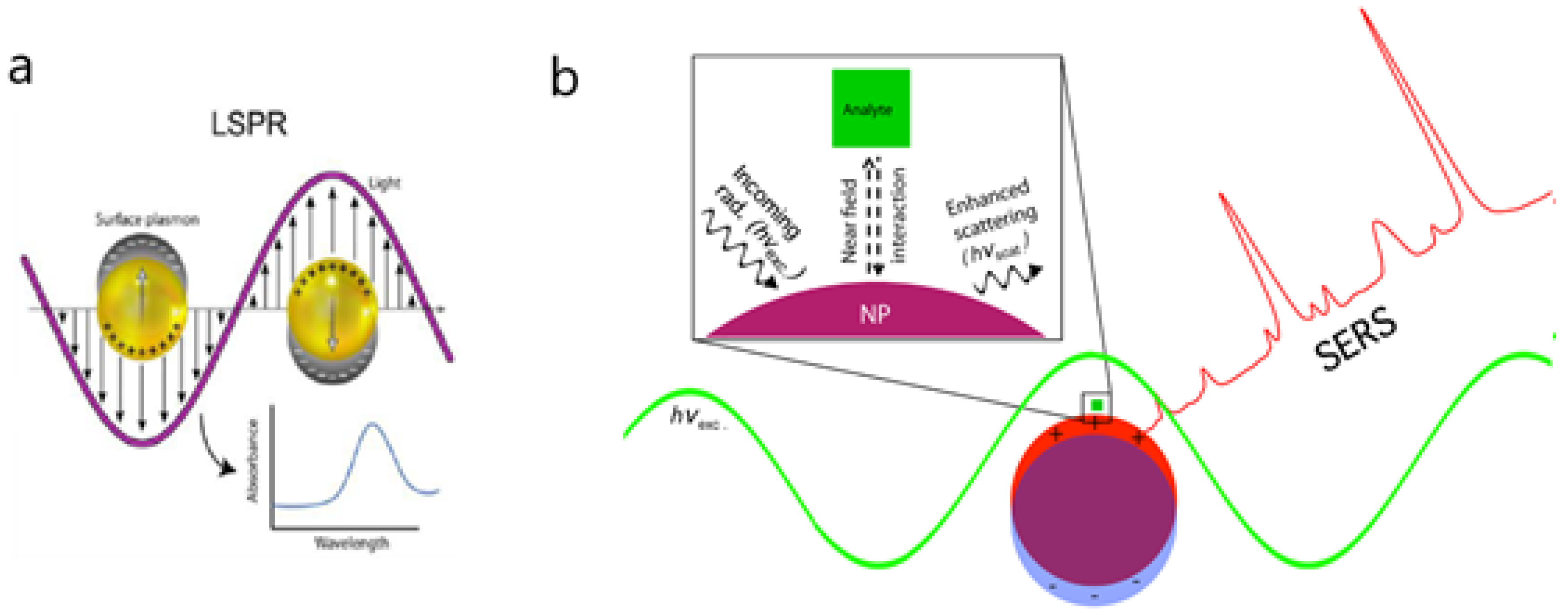 Biosensors 10 00063 g002