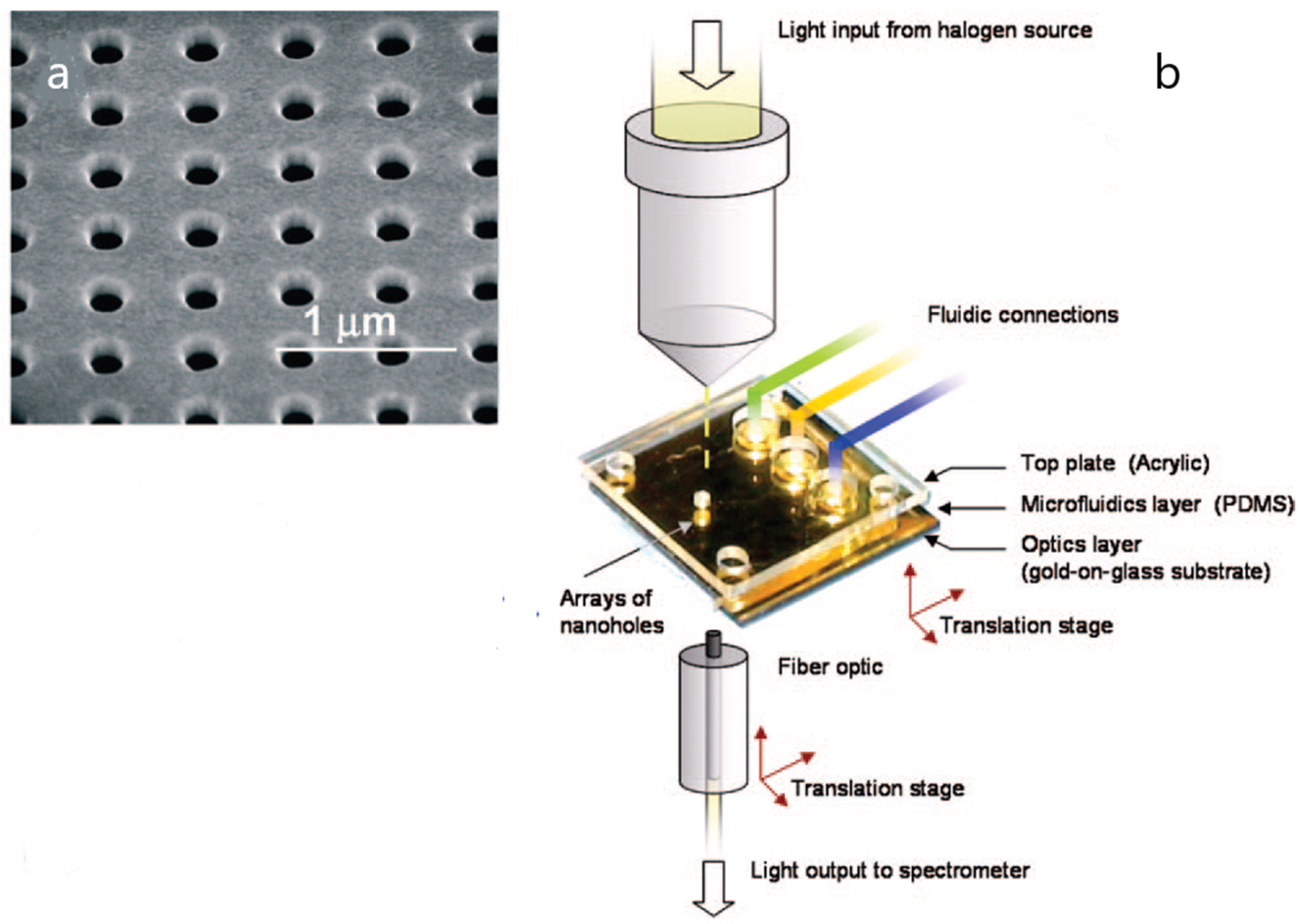 Biosensors 10 00063 g003