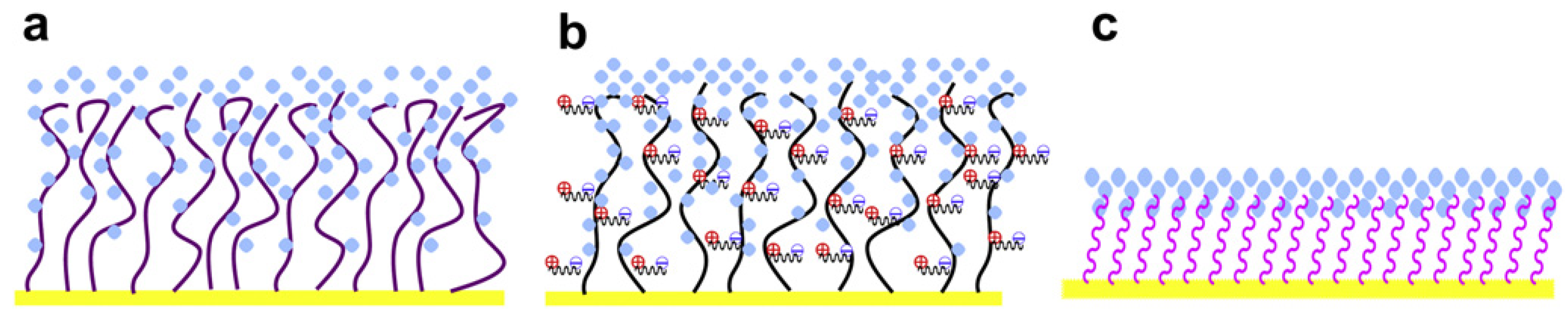 Biosensors 10 00063 g004
