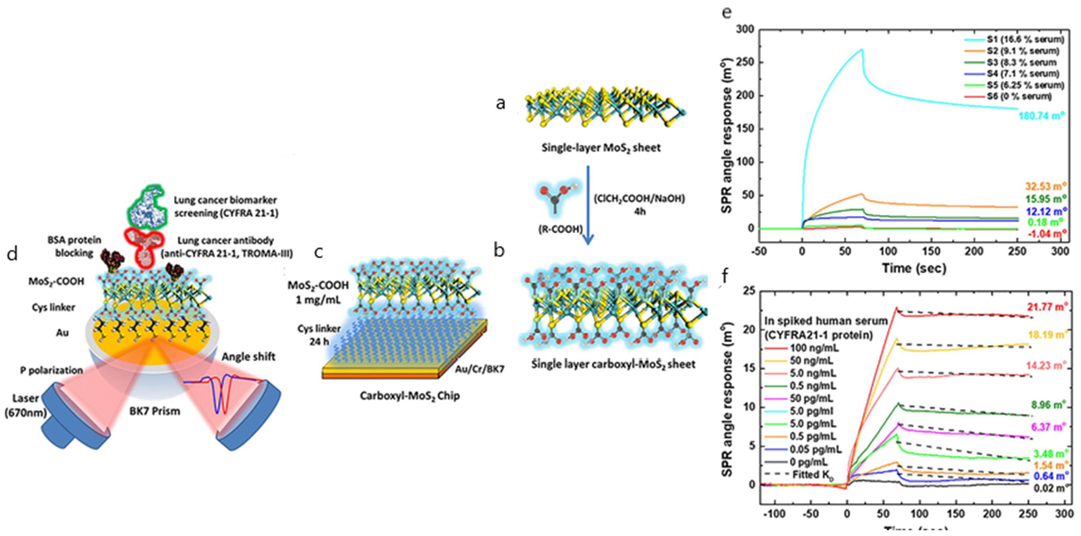 Biosensors 10 00063 g007