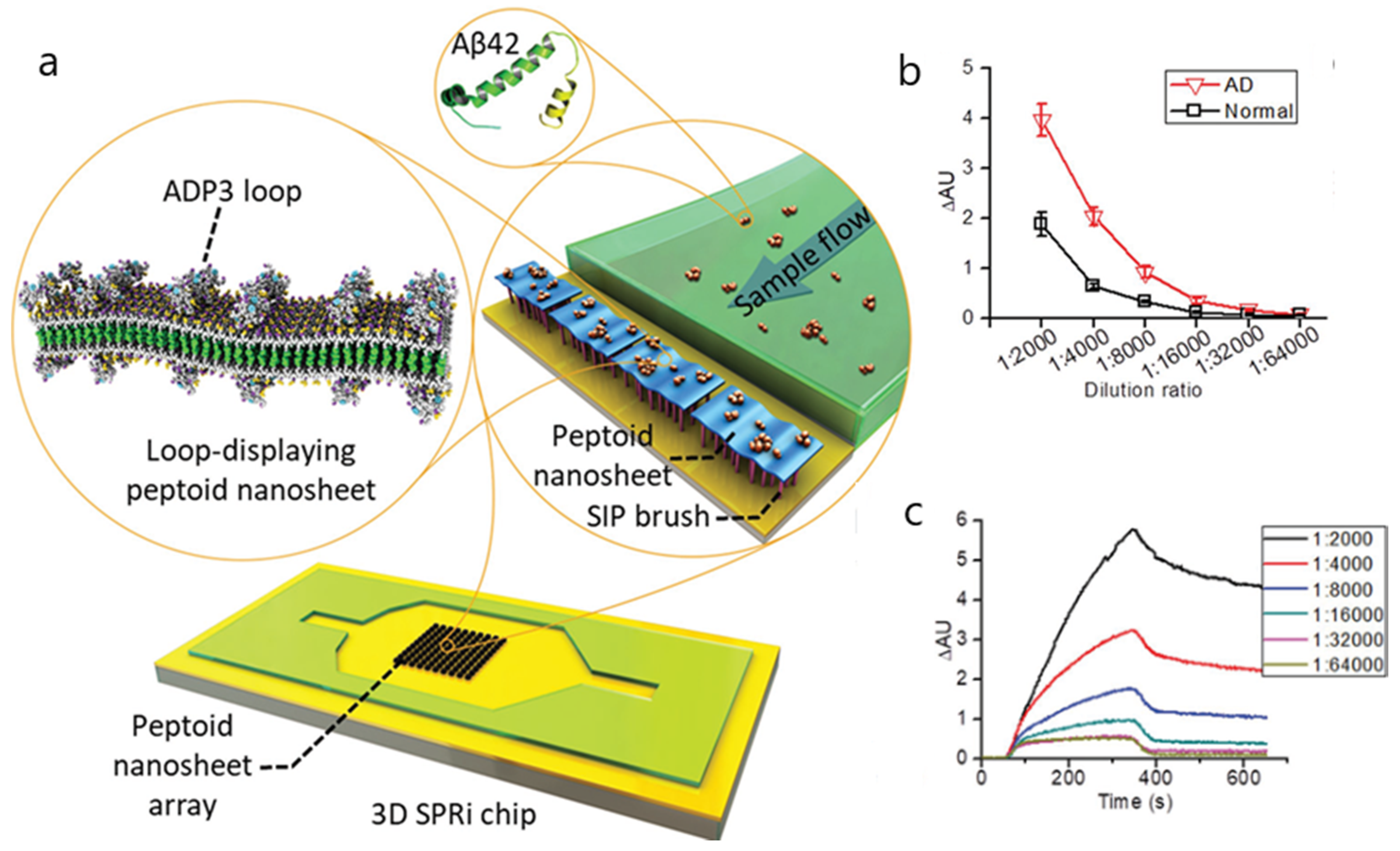 Biosensors 10 00063 g008