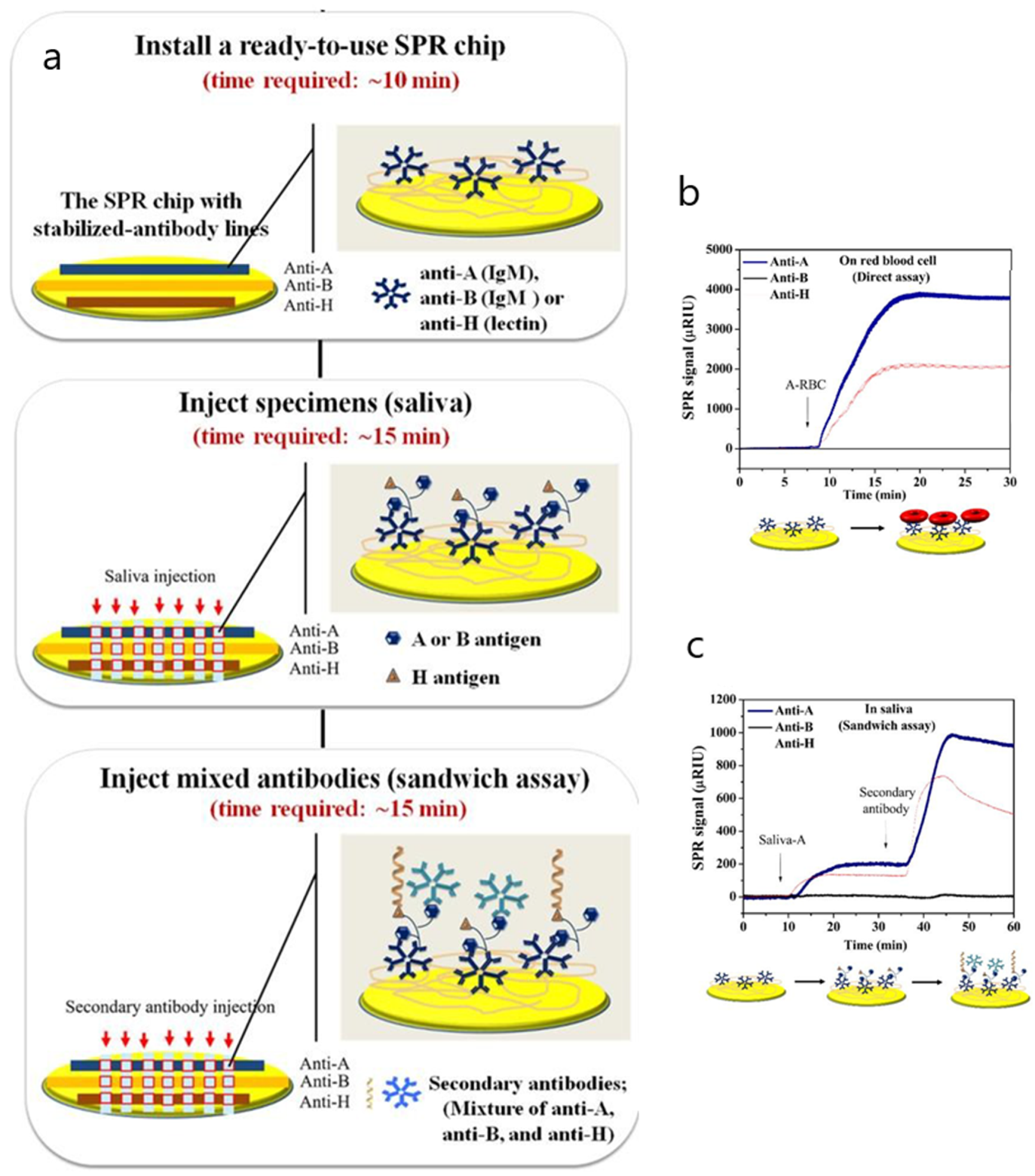 Biosensors 10 00063 g009
