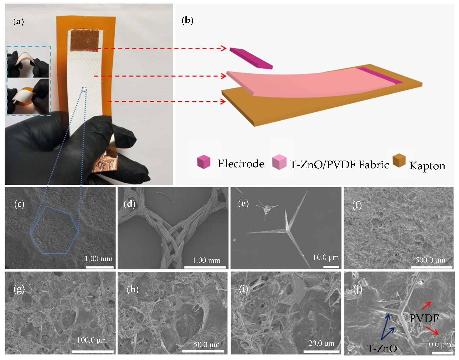 Biosensors 10 00075 g001 Biosensors 10 00075 g001