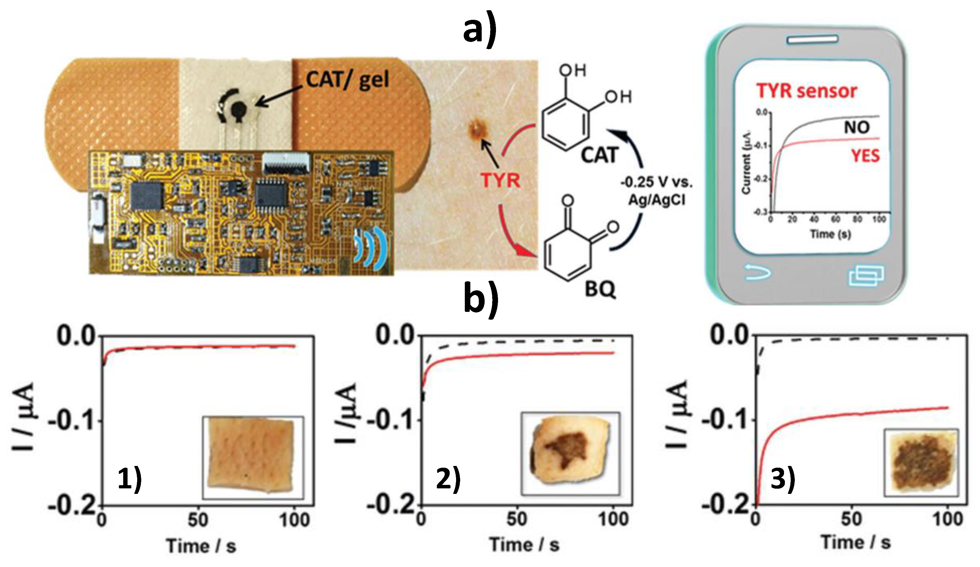 Biosensors 10 00076 g008 Biosensors 10 00076 g008