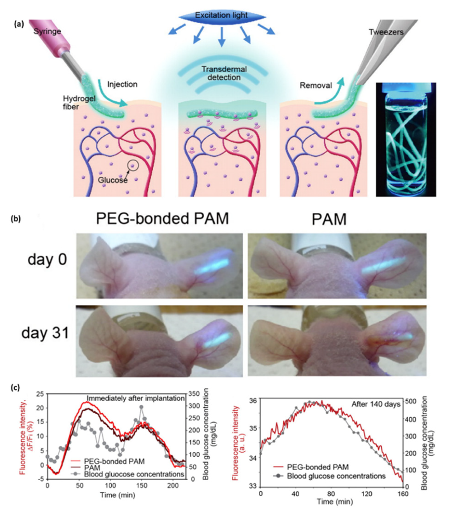 Biosensors 10 00079 g004