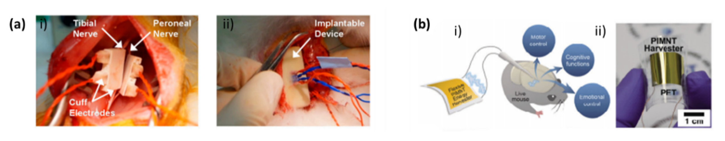 Biosensors 10 00079 g006