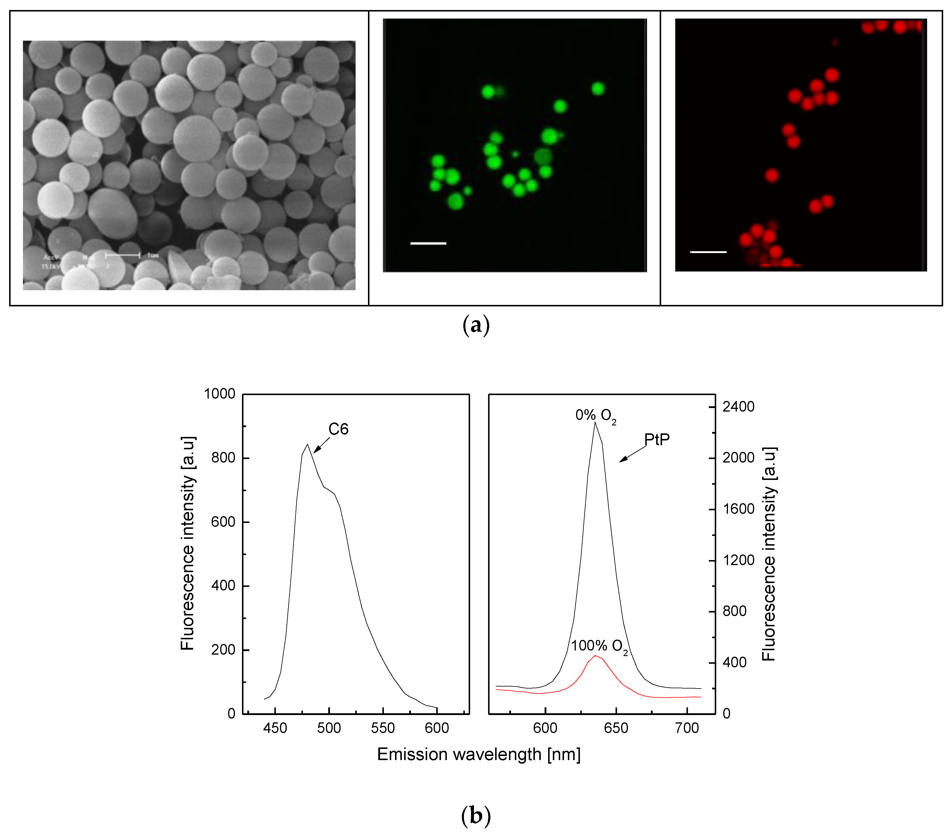 Biosensors 10 00086 g001 Biosensors 10 00086 g001