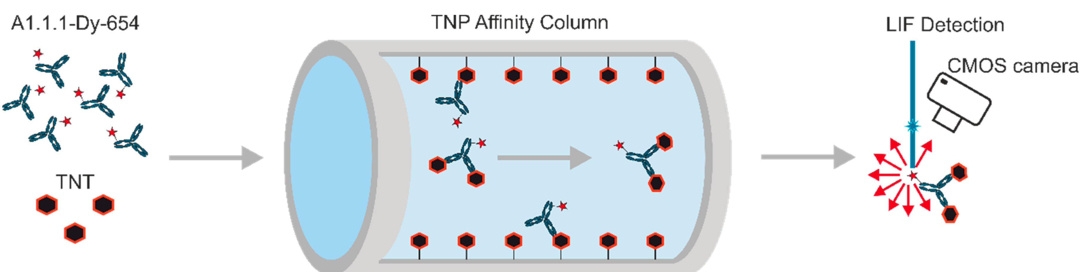 Biosensors 10 00089 g001