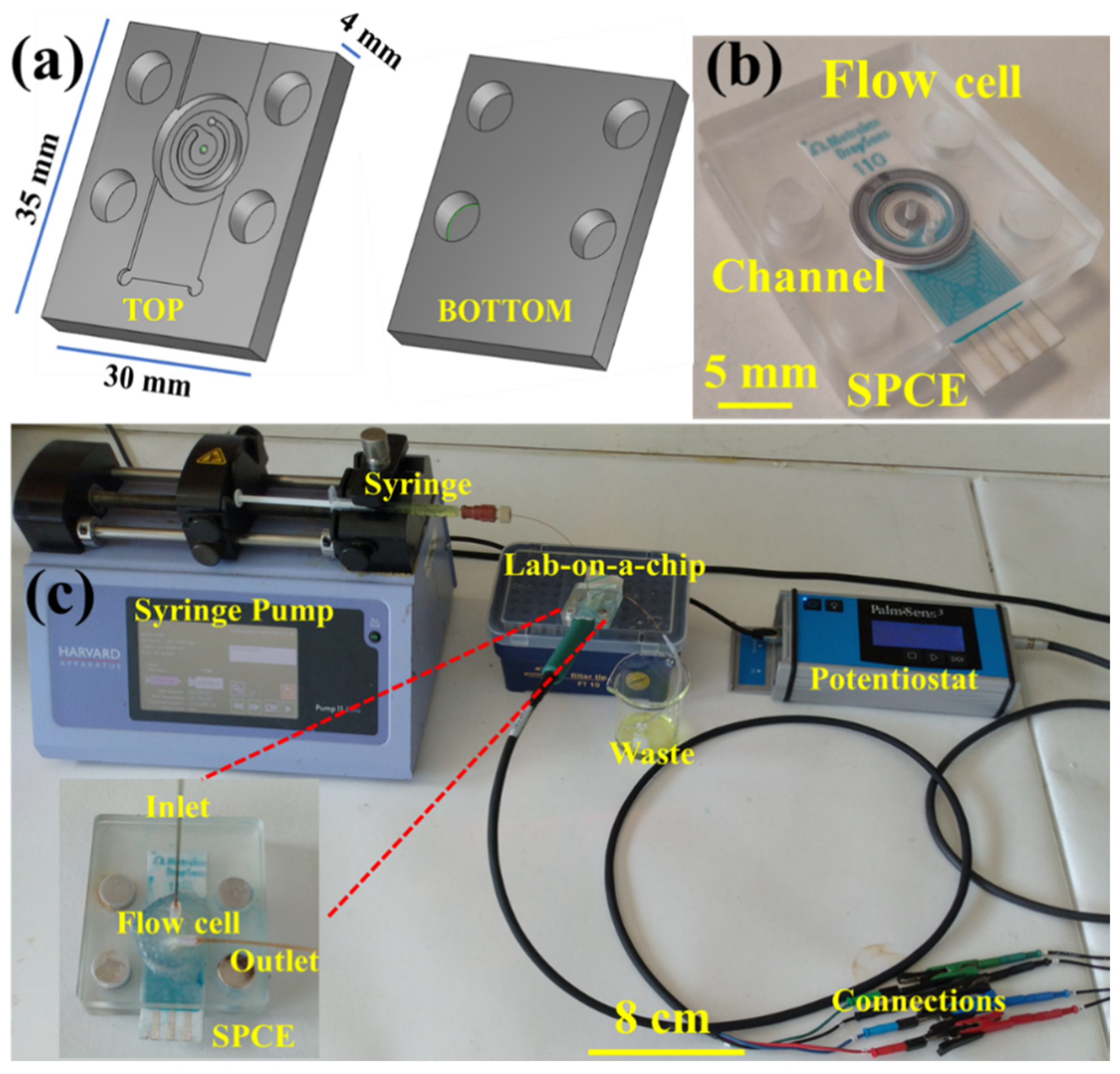 Biosensors 10 00091 g001 Biosensors 10 00091 g001
