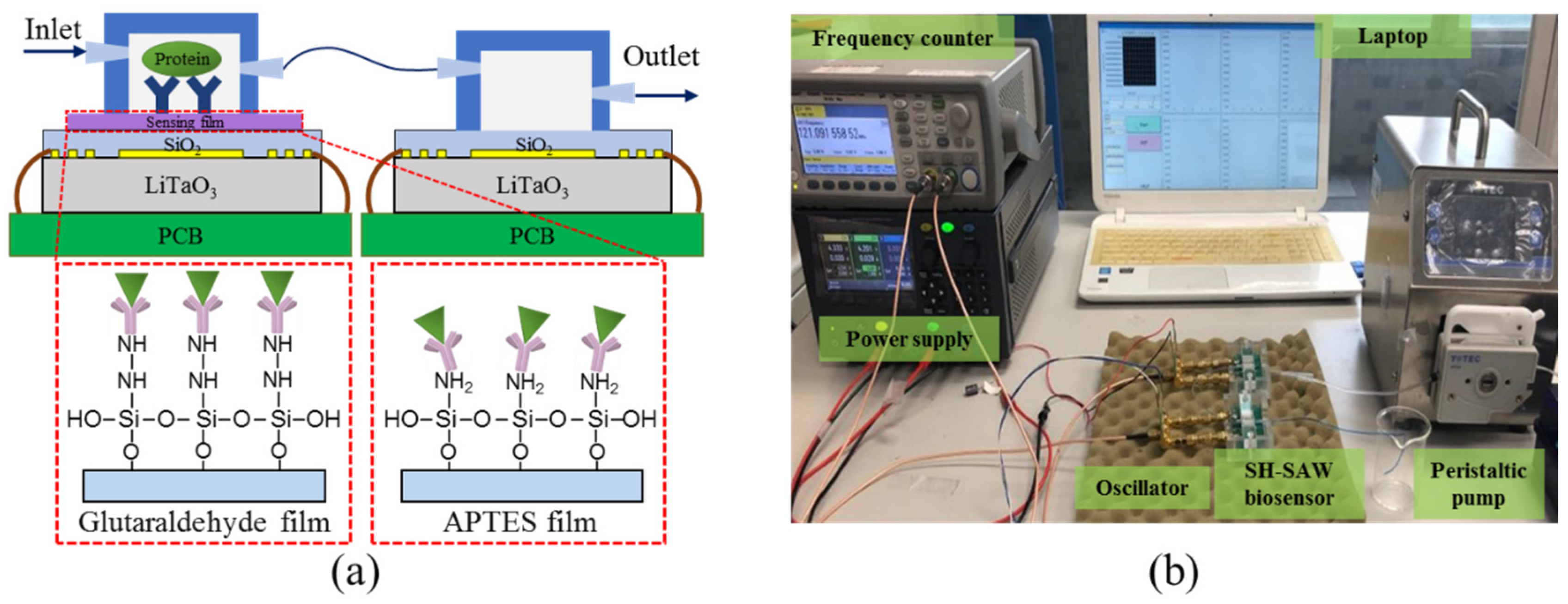 Biosensors 10 00092 g003