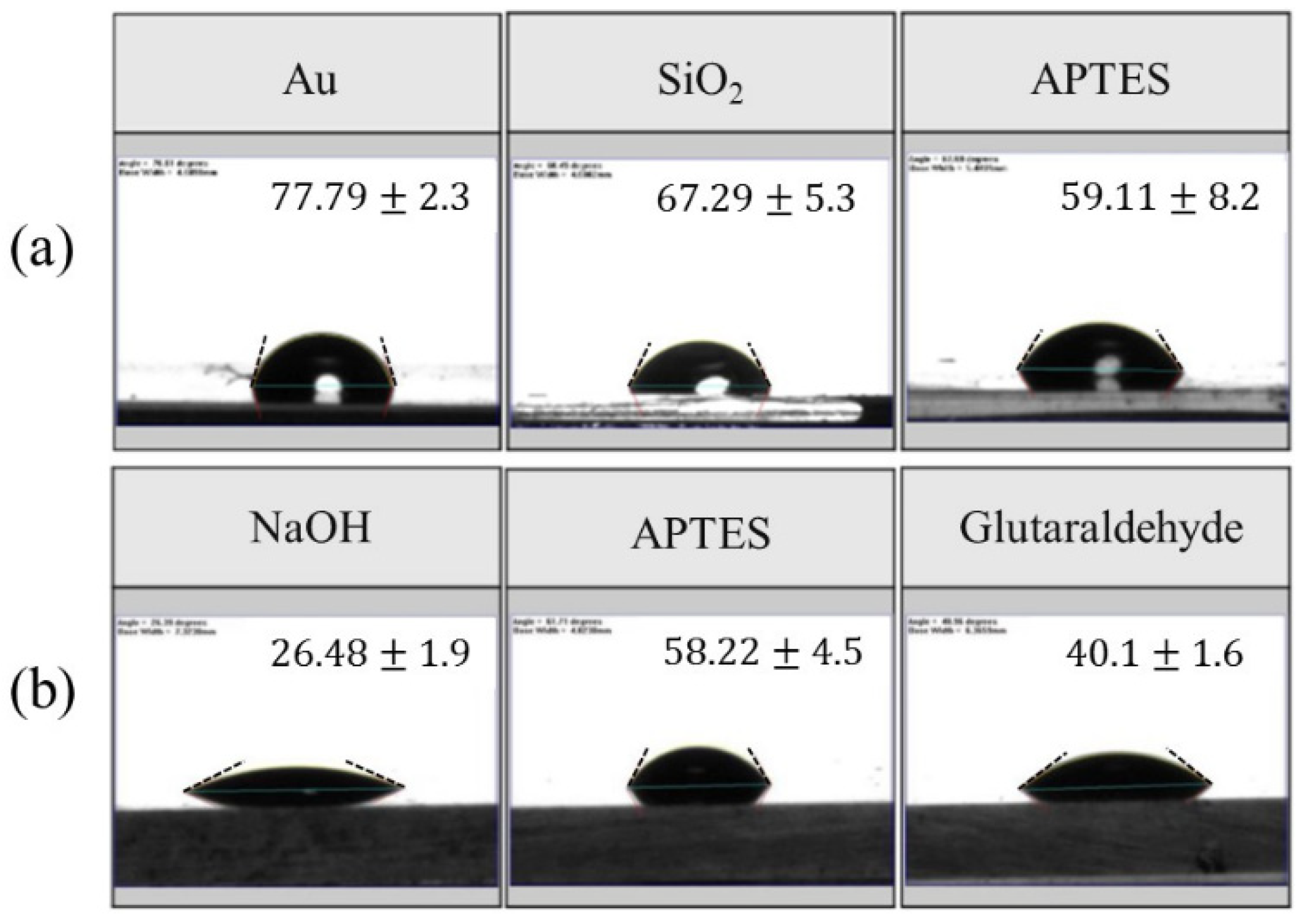 Biosensors 10 00092 g006
