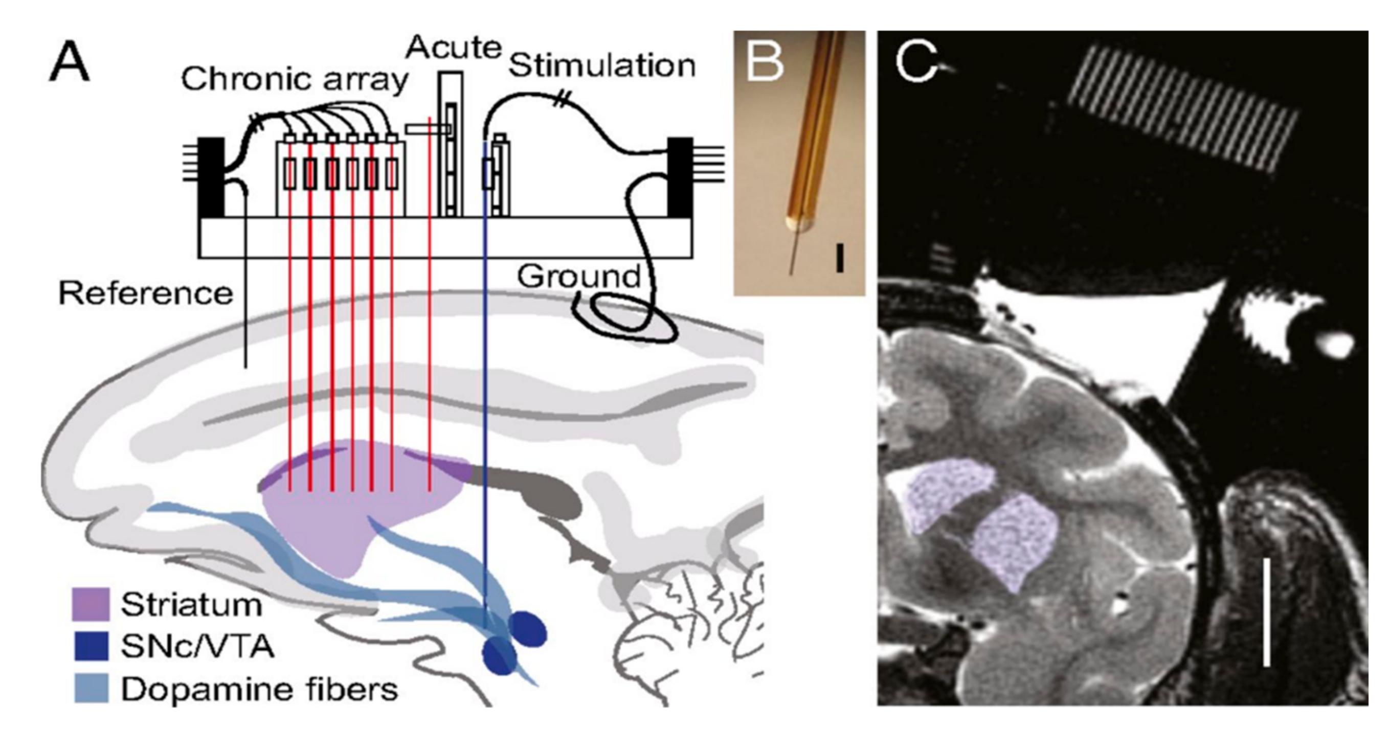 Biosensors 10 00101 g013