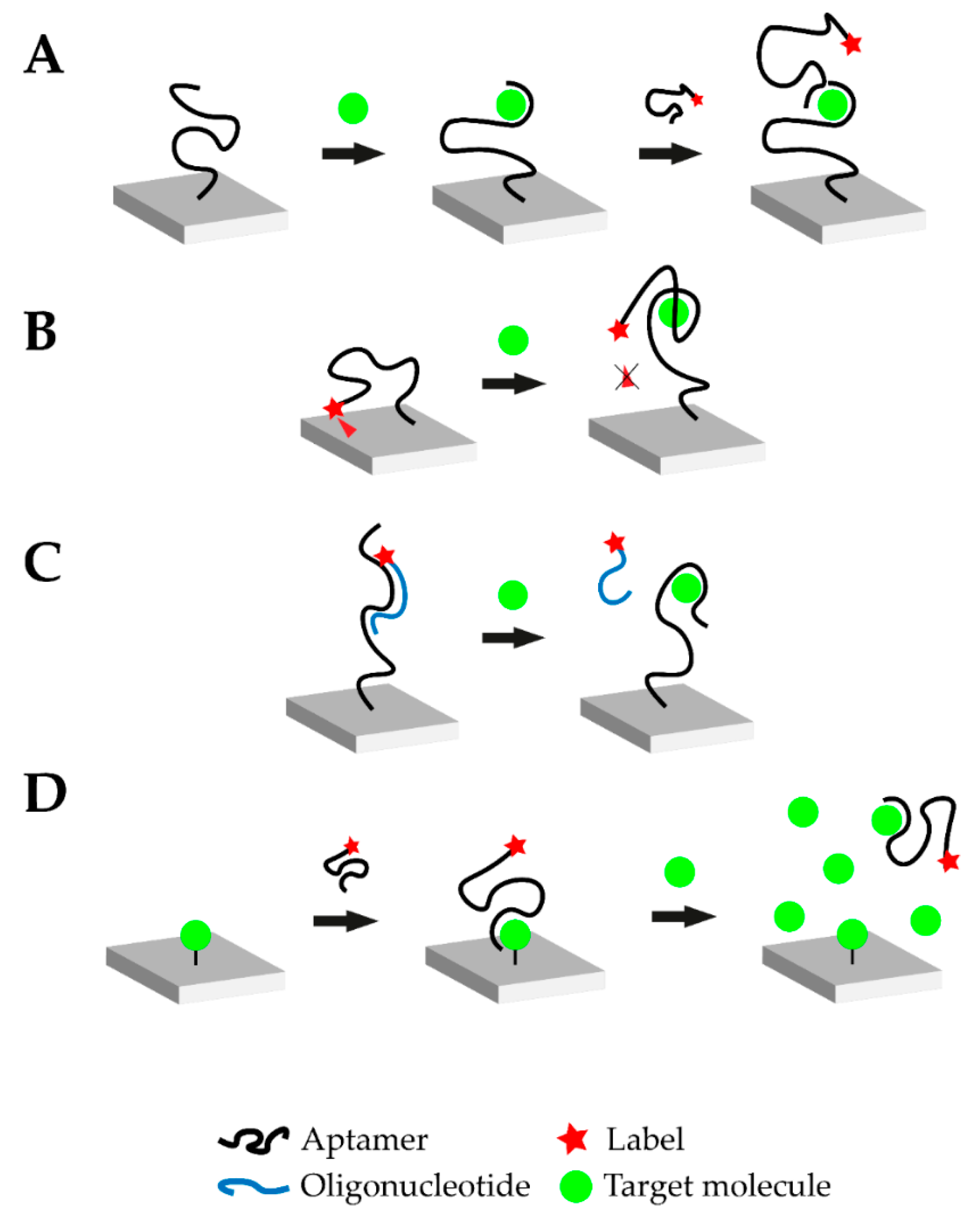 Biosensors 10 00108 g001