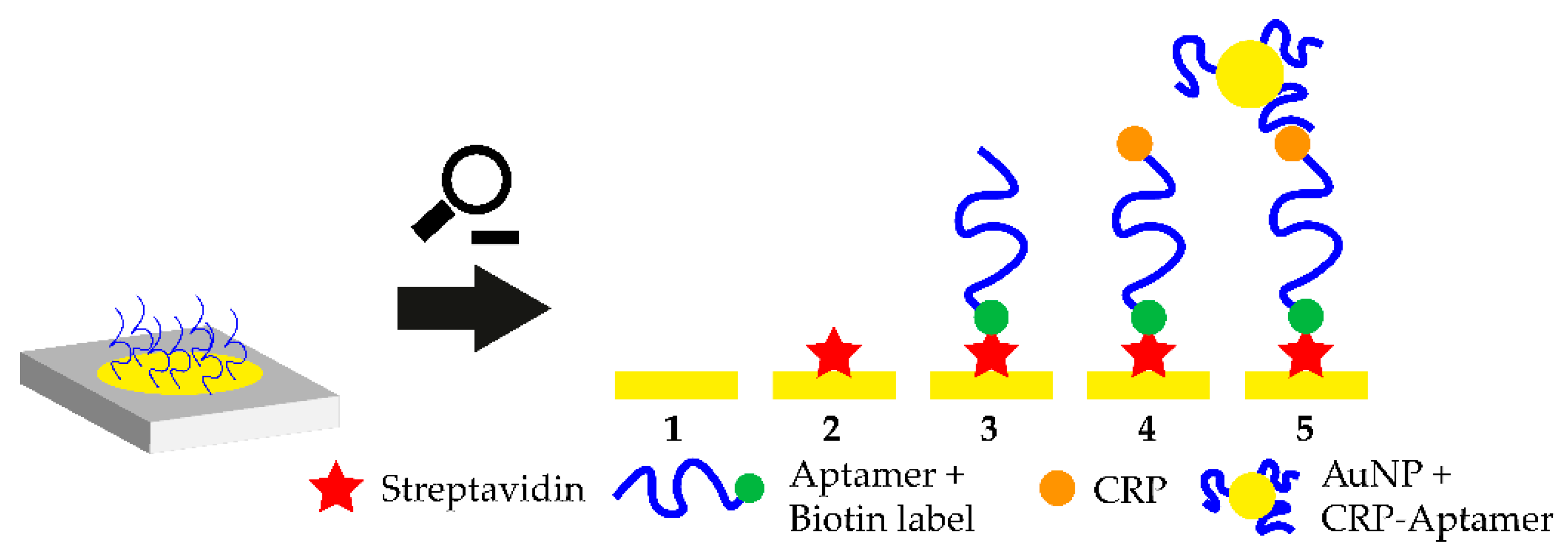 Biosensors 10 00108 g004